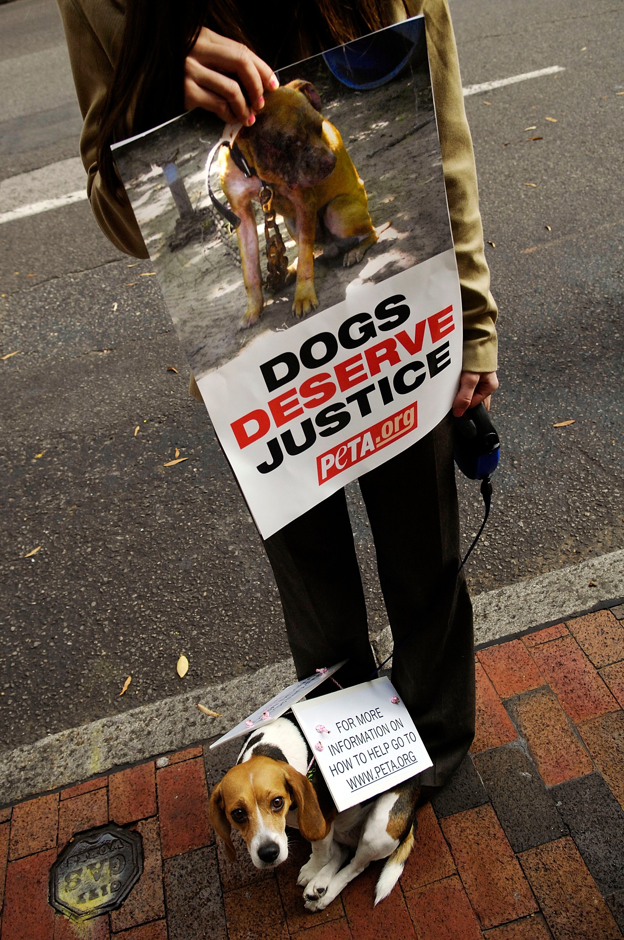RICHMOND, VA - DECEMBER 10:  Animals rights activist Julia Novak and her dog Frankie wait outside a sentencing hearing for Atlanta Falcons quarterback Michael Vick in federal court December 10, 2007 in Richmond, Virginia. Vick and three associates pleaded
