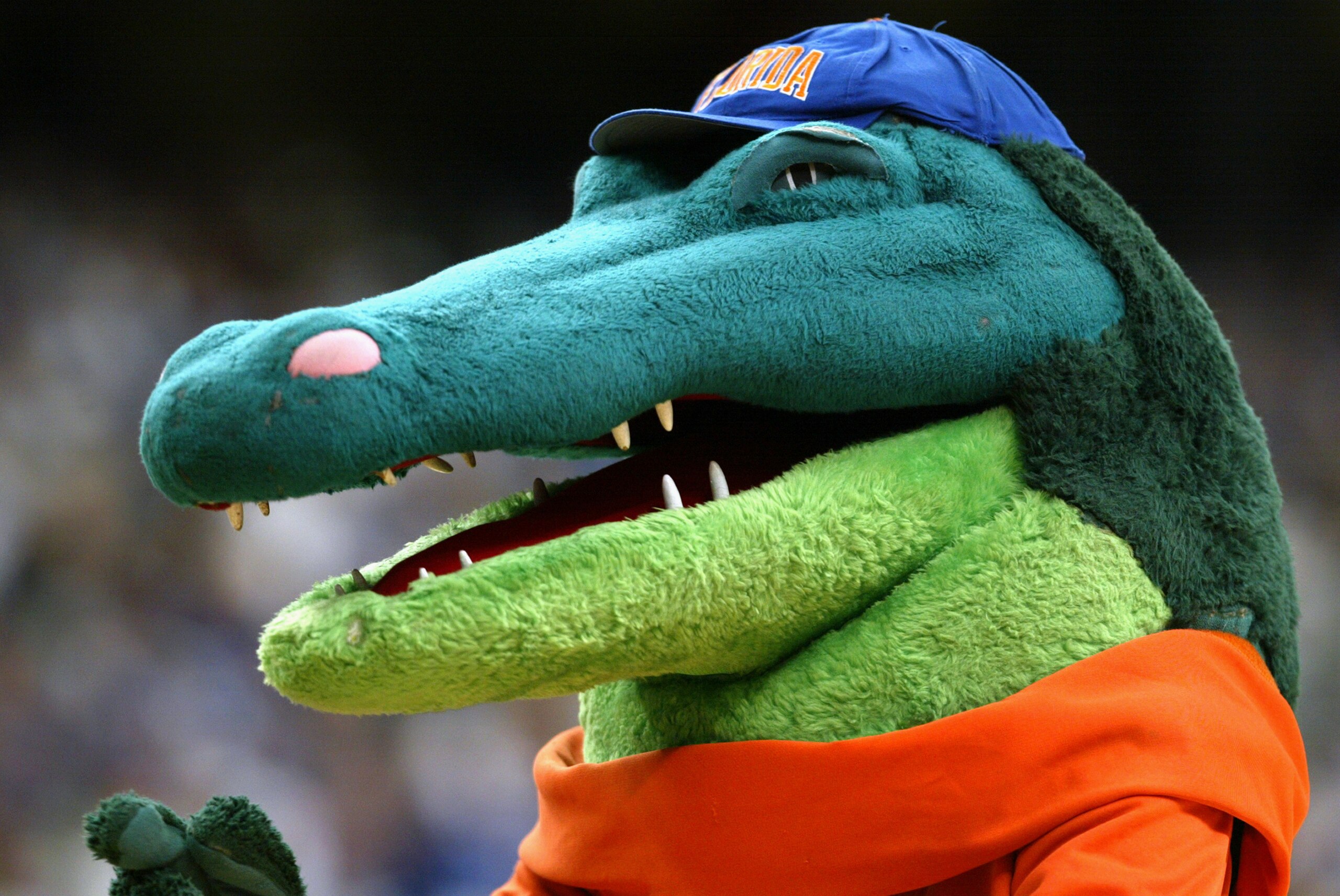 ATLANTA - MARCH 14:  The University of Florida Gators mascot entertains the fans during the SEC Men's Basketball Tournament Championship game against the University of Kentucky Wildcats at the Georgia Dome on March 14, 2004 in Atlanta, Georgia. Kentucky d