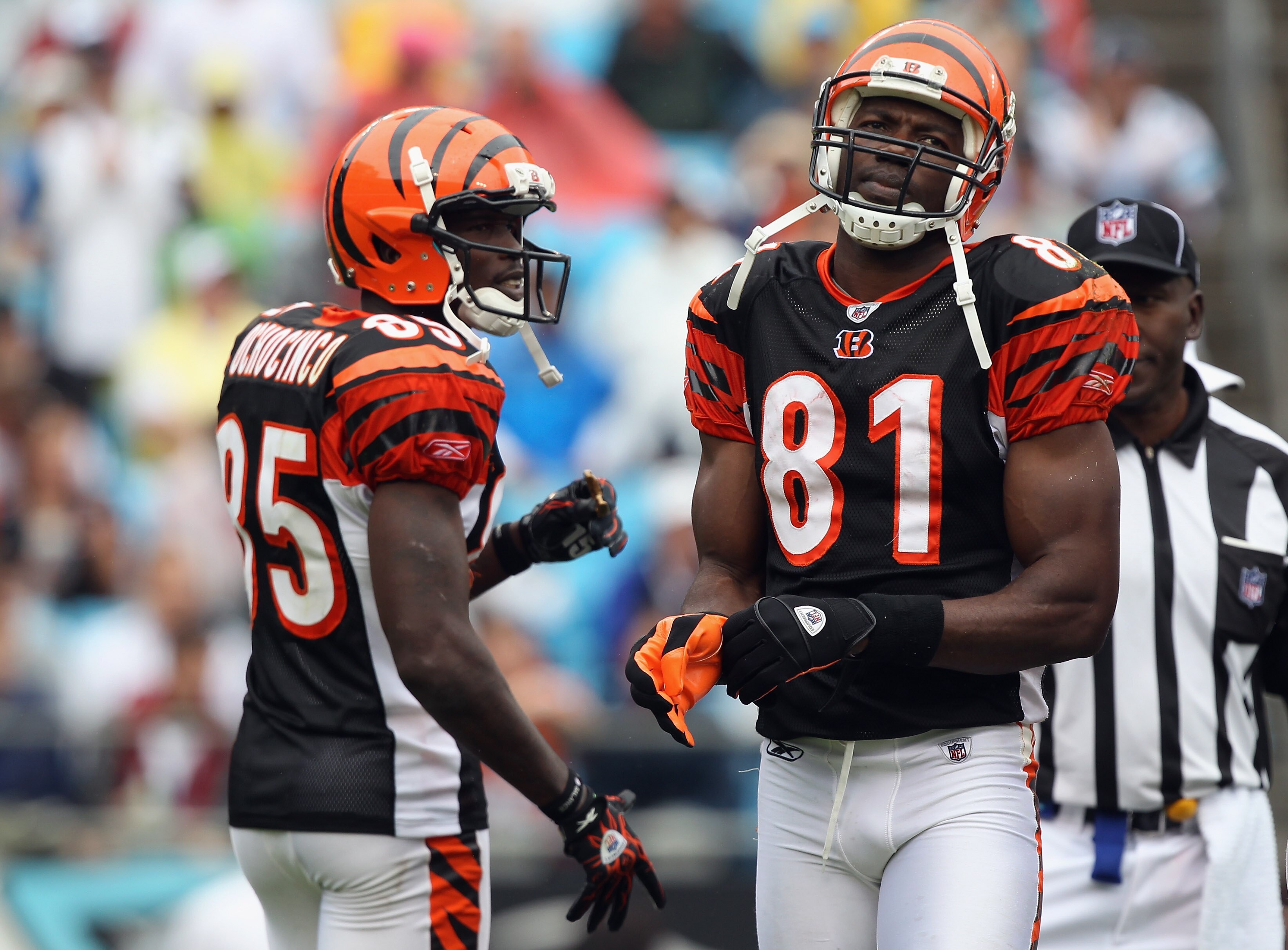 CHARLOTTE, NC - SEPTEMBER 26:  Chad Ochocinco #85 and teammate Terrell Owens #81 of the Cincinnati Bengals wait for a play against the Carolina Panthers during their game at Bank of America Stadium on September 26, 2010 in Charlotte, North Carolina.  (Pho