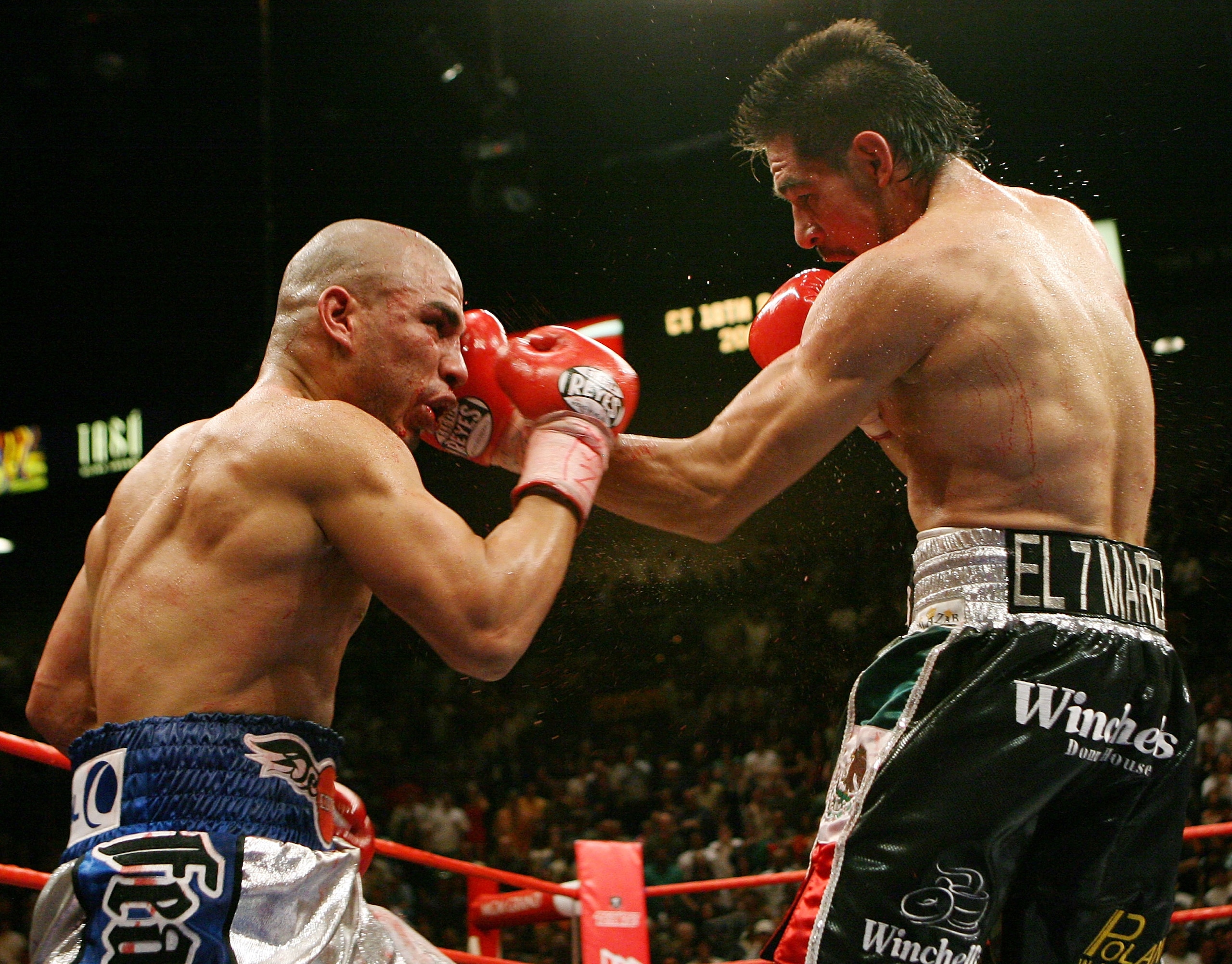 LAS VEGAS - JULY 26:  Antonio Margarito (R) hits Miguel Cotto during their WBA welterweight title fight at the MGM Grand Garden Arena July 26, 2008 in Las Vegas, Nevada. Margarito won by TKO in the 11th round.  (Photo by Ethan Miller/Getty Images)