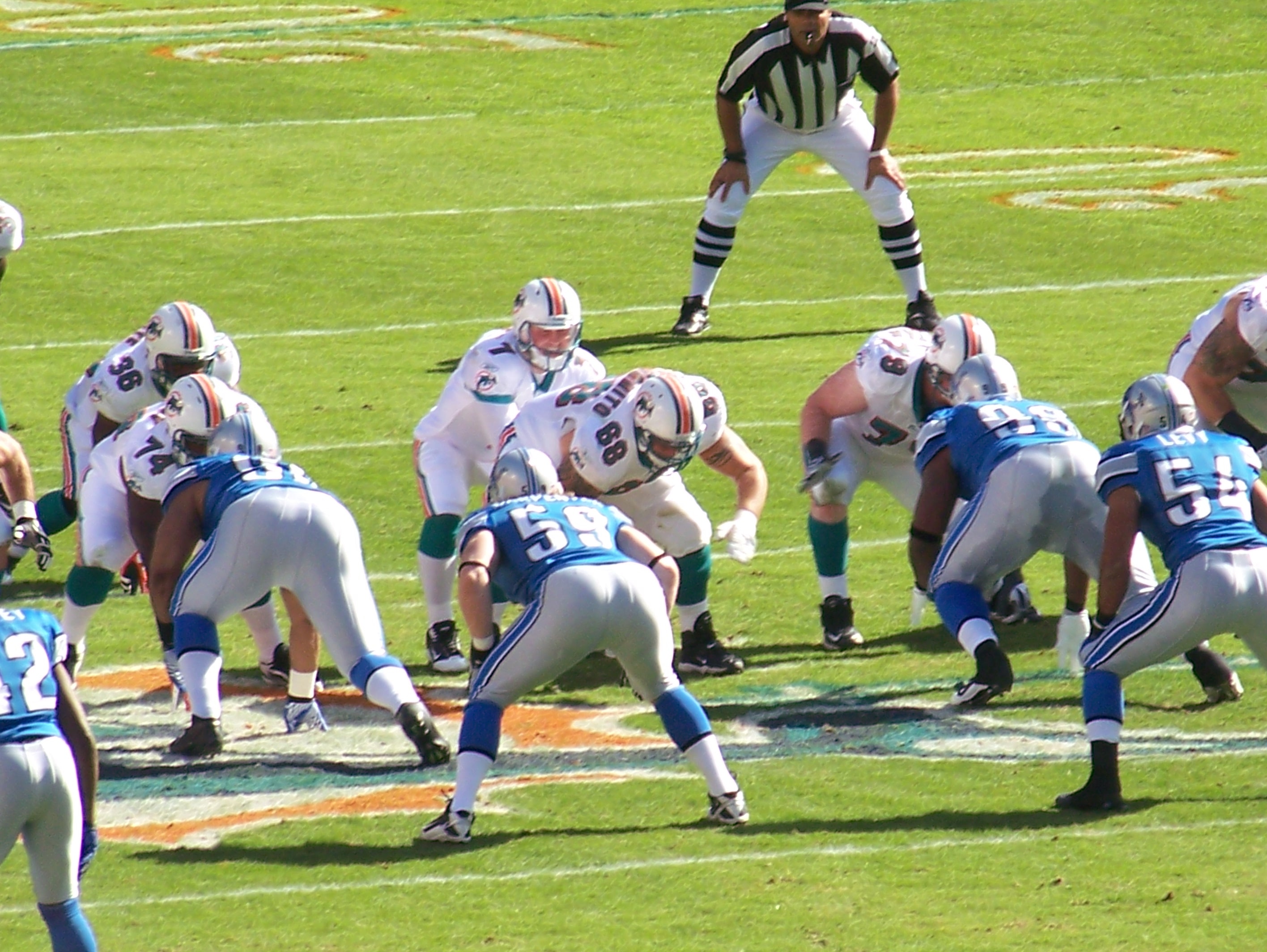 Lions at the ready to defend against the Dolphins.