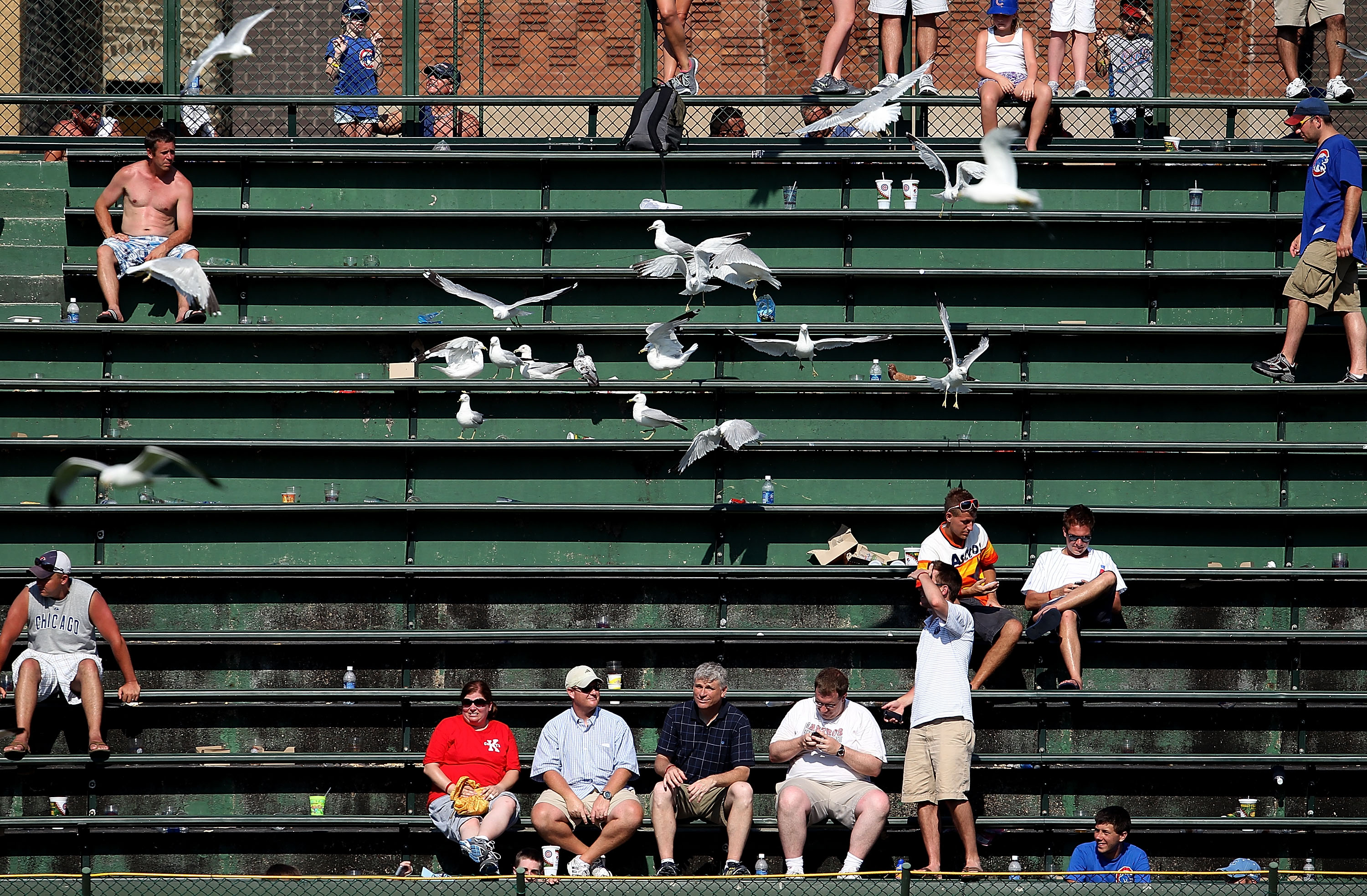 CHICAGO - JULY 21: Gulls invade the bleachers in right field during the 11th inning of a game between the Chicago Cubs and the Houston Astros at Wrigley Field on July 21, 2010 in Chicago, Illinois. The Astros defeated the Cubs 4-3 in 12 innings. (Photo by