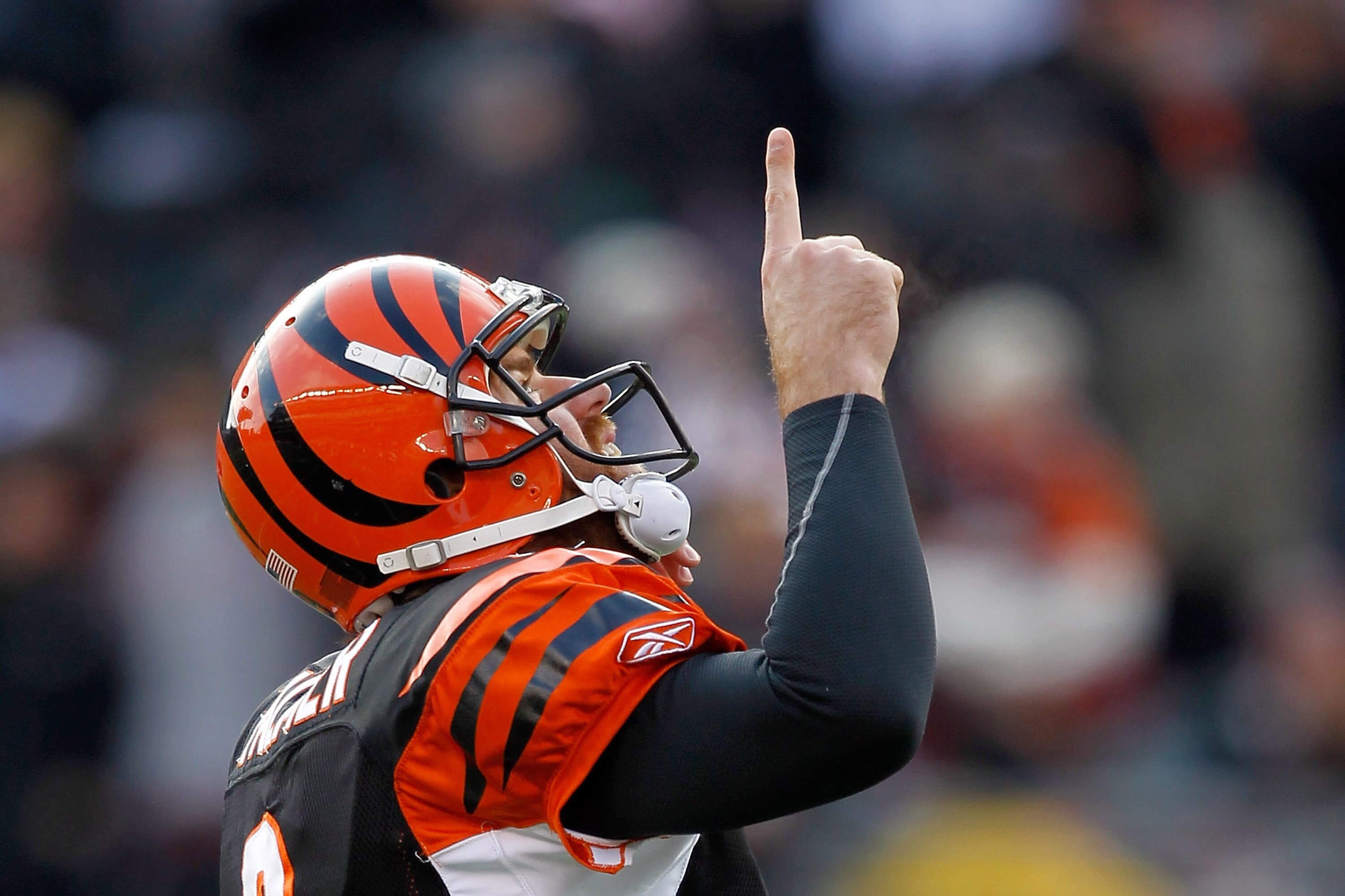 CINCINNATI, OH - DECEMBER 19: Quarterback Carson Palmer #9 of the Cincinnati Bengals celebrates throwing a touchdown against the Cleveland Browns at Paul Brown Stadium on December 19, 2010 in Cincinnati, Ohio.  (Photo by Matthew Stockman/Getty Images)