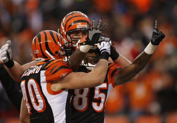 CINCINNATI - DECEMBER 27: Chad Ochocinco #85 of the Cincinnati Bengals celebrates his touchdown catch by holding up the number 15 in memory of teammate Chris Henry with Brian Leonard #40 and Dennis Roland #74 against the Kansas City Chiefs in their NFL ga