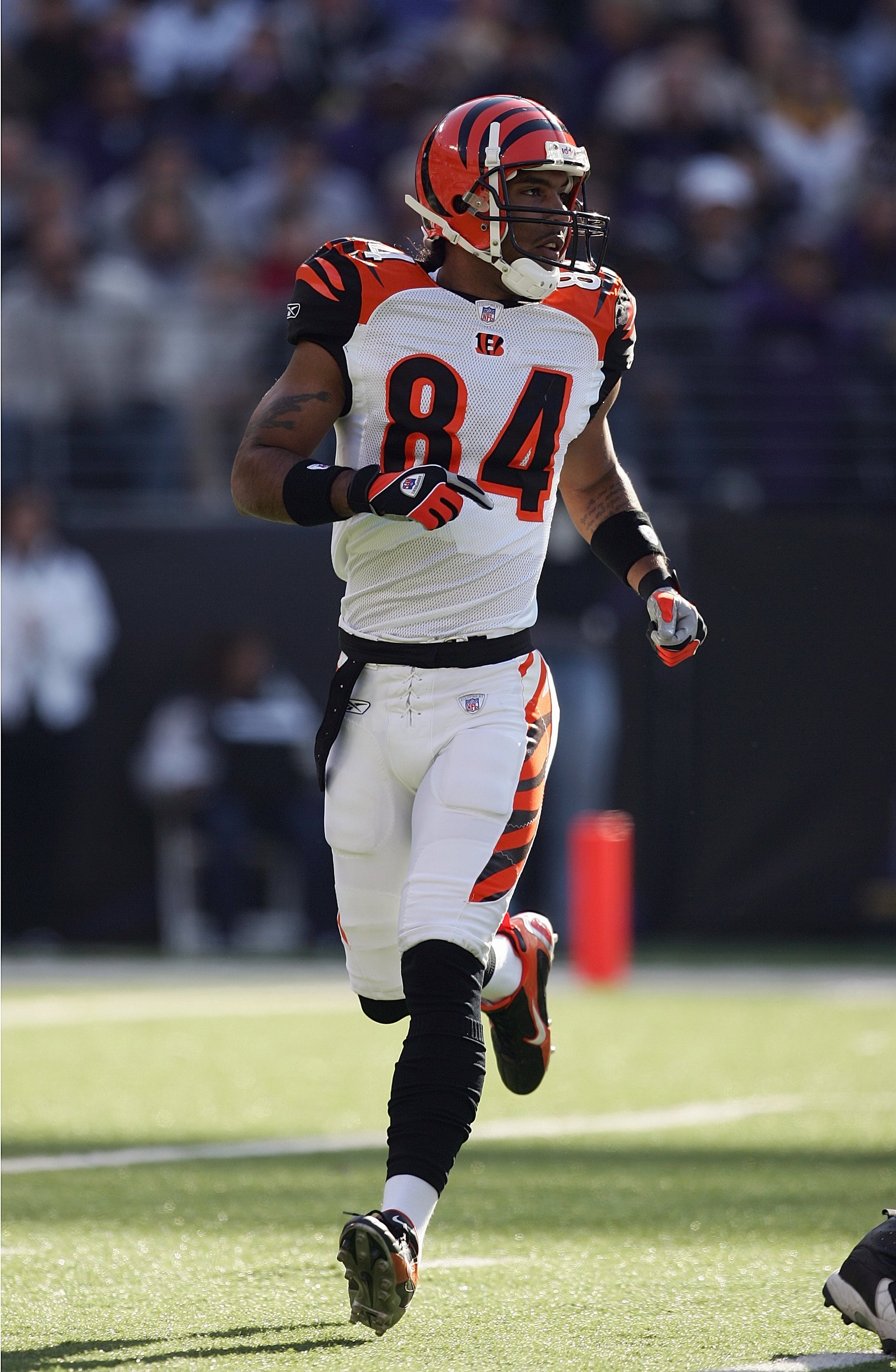 BALTIMORE - NOVEMBER 5:  T.J. Houshmanzadeh #84 of the Cincinnati Bengals runs during the game against the Baltimore Ravens at M&T Bank Stadium on November 5, 2006 in Baltimore, Maryland.  The Ravens defeated the Bengals 26-20. (Photo by Harry How/Getty I