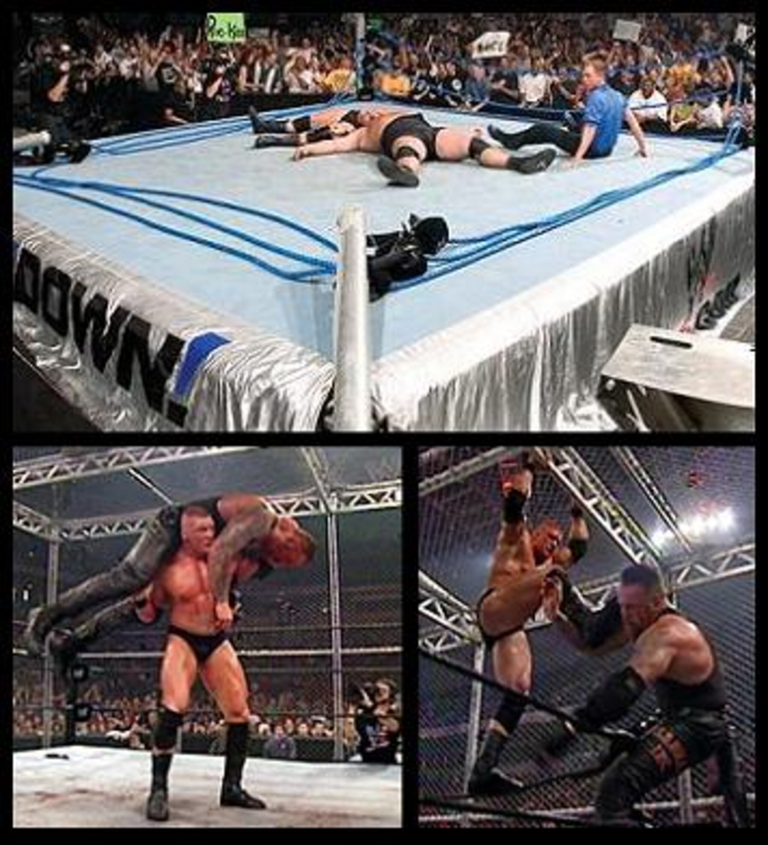 Brock Lesnar is a genuine force of nature and he already defeated a younger Undertaker in 2002.