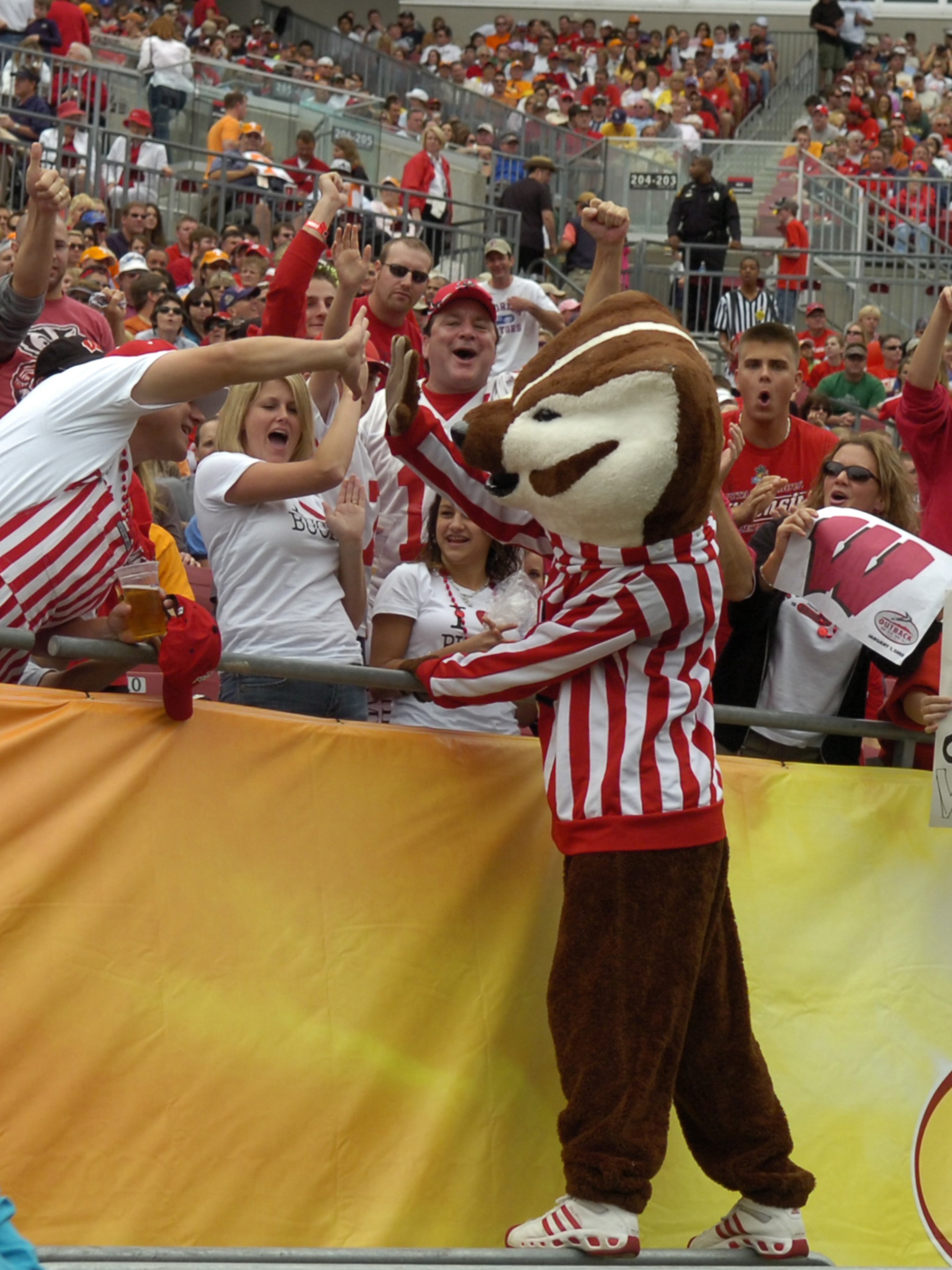 TAMPA, FL -  JANUARY 1: The mascot of the Wisconsin Badgers entertains fans during play against the Tennessee Volunteers in the 2008 Outback Bowl at Raymond James Stadium on January 1, 2008 in Tampa, Florida.  The Volunteers won 21 - 17. (Photo by Al Mess