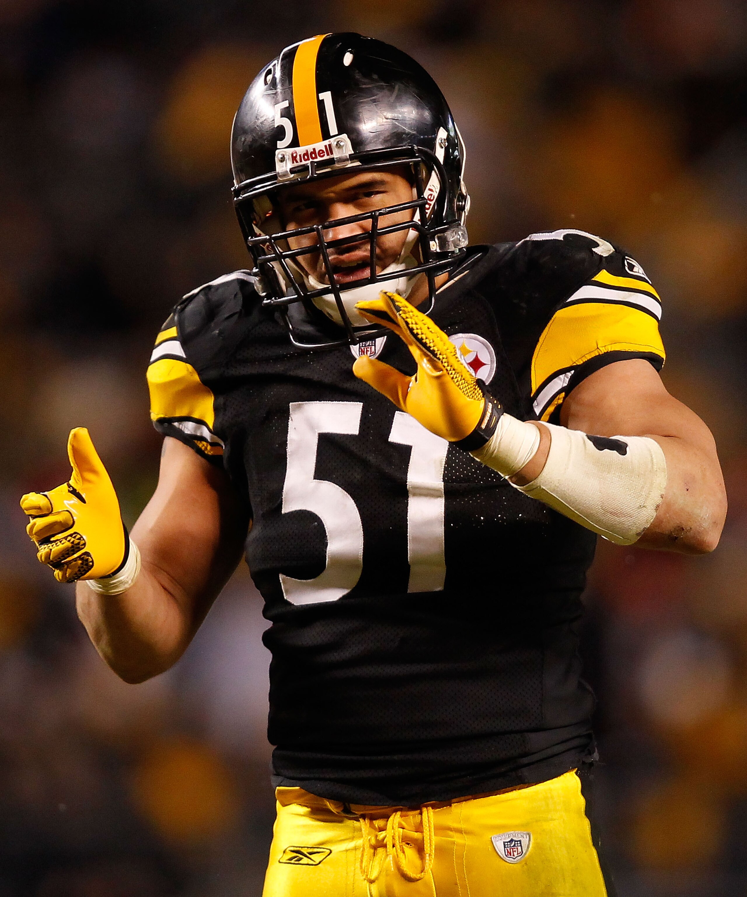PITTSBURGH - DECEMBER 23:  James Farrior #51 of the Pittsburgh Steelers pumps up the crowd during the game against the Carolina Panthers on December 23, 2010 at Heinz Field in Pittsburgh, Pennsylvania.  (Photo by Jared Wickerham/Getty Images)