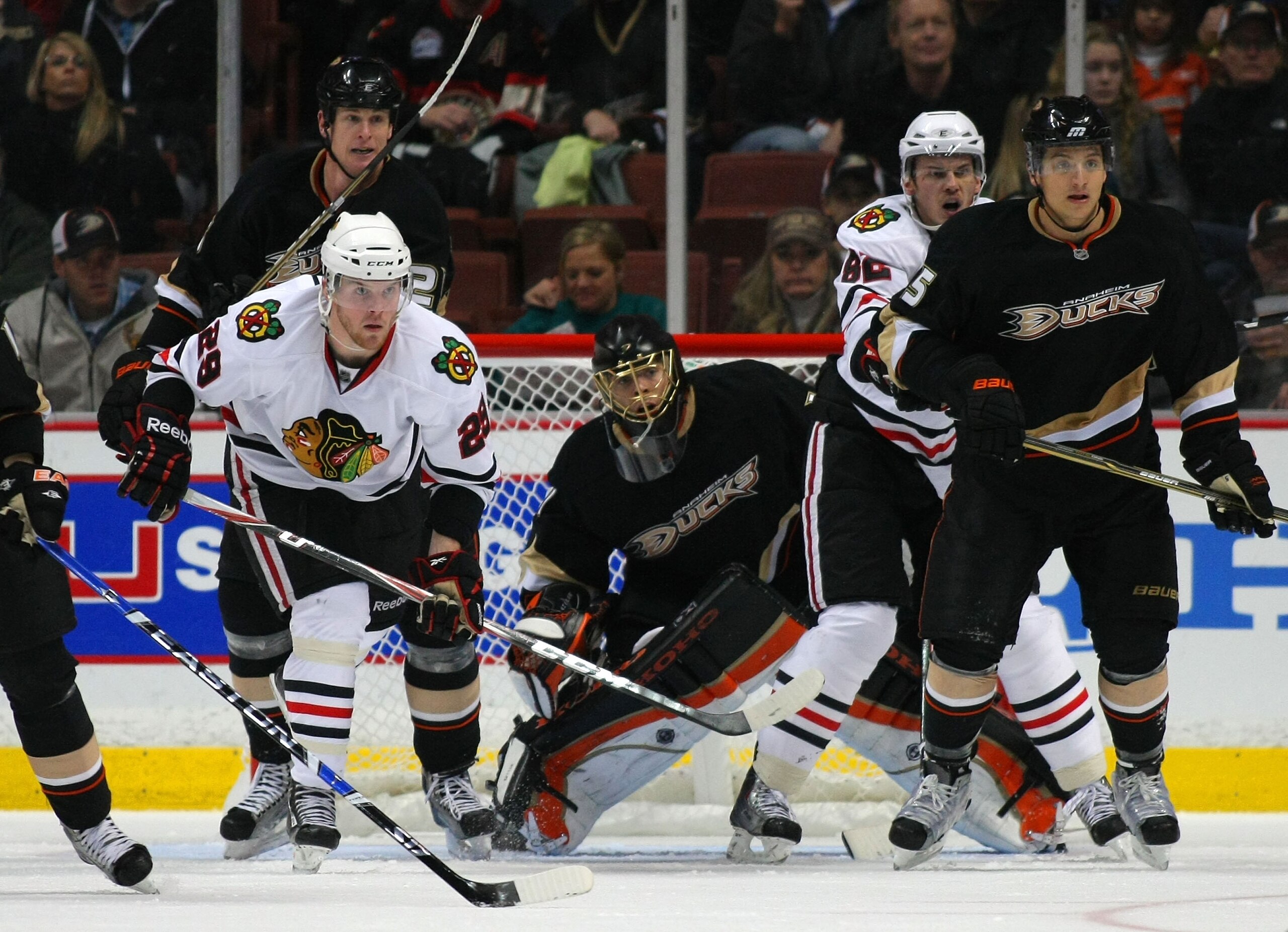 ANAHEIM, CA - JANUARY 02:  Goaltender Jonas Hiller #1 of the Anaheim Ducks tries to get a look at the shot from the point as Tomas Kopecky #82 and Bryan Bickell #29 of the Chicago Blackhawks vie for position in the low slot area with Luca Sbisa #5 and And