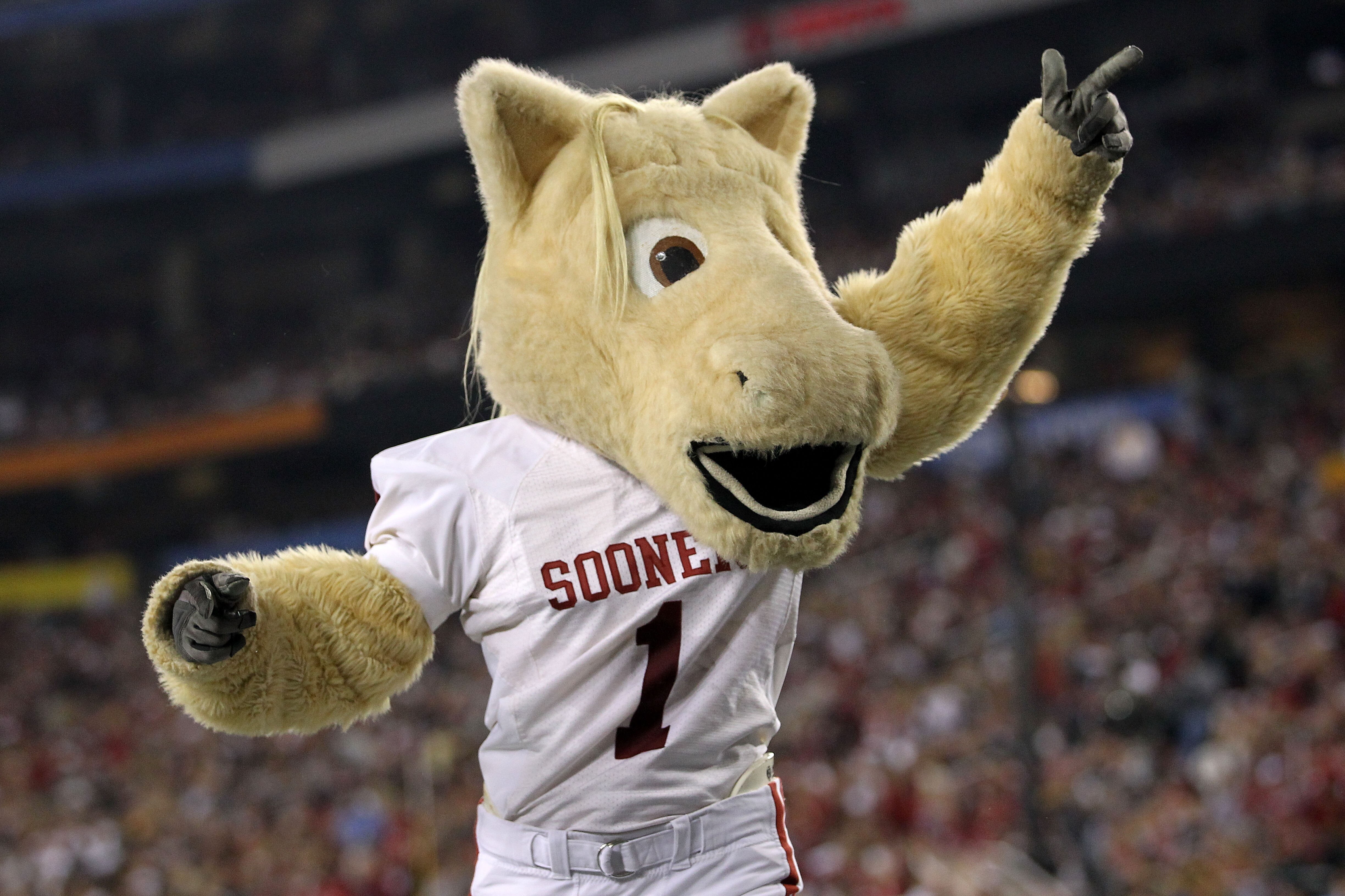 GLENDALE, AZ - JANUARY 01:  The Oklahoma Sooners mascot cheers during the Tostitos Fiesta Bowl against the Connecticut Huskies at the Universtity of Phoenix Stadium on January 1, 2011 in Glendale, Arizona.  (Photo by Ronald Martinez/Getty Images)