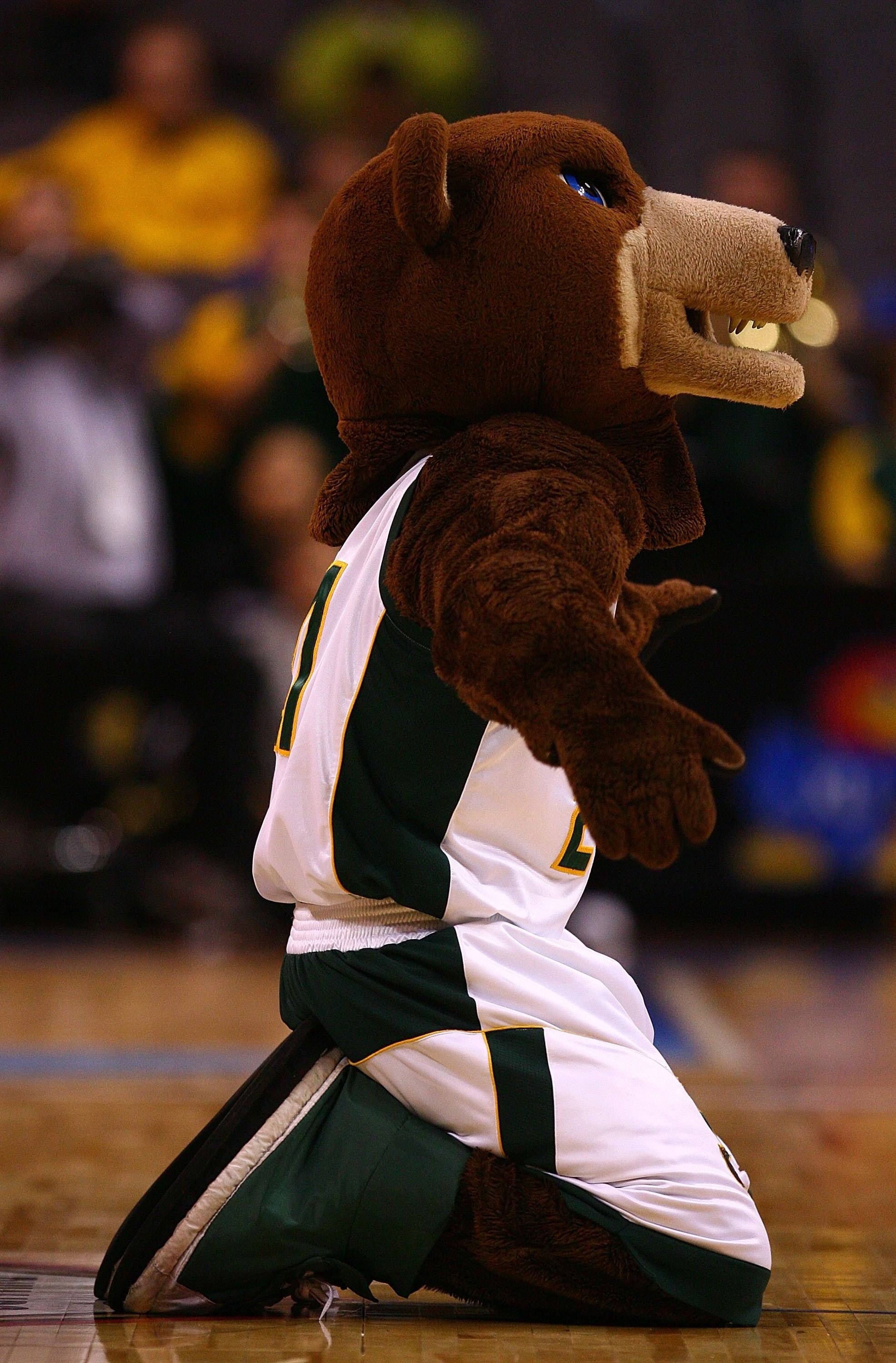 OKLAHOMA CITY - MARCH 11:  The Baylor Bears mascot during the Phillips 66 Big 12 Men's Basketball Championship at the Ford Center March 11, 2009 in Oklahoma City, Oklahoma.  (Photo by Ronald Martinez/Getty Images)
