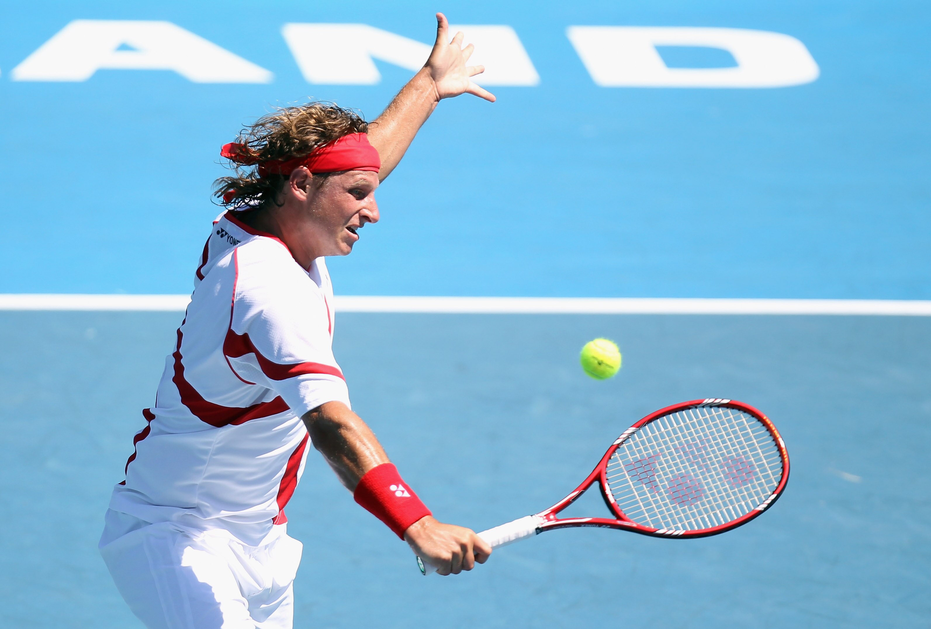 AUCKLAND, NEW ZEALAND - JANUARY 15:  David Nalbandian of Argentina plays a forehand during the Men's Final match against David Ferrer of Spain on day six of the Heineken Open at ASB Tennis Centre on January 15, 2011 in Auckland, New Zealand.  (Photo by Ha