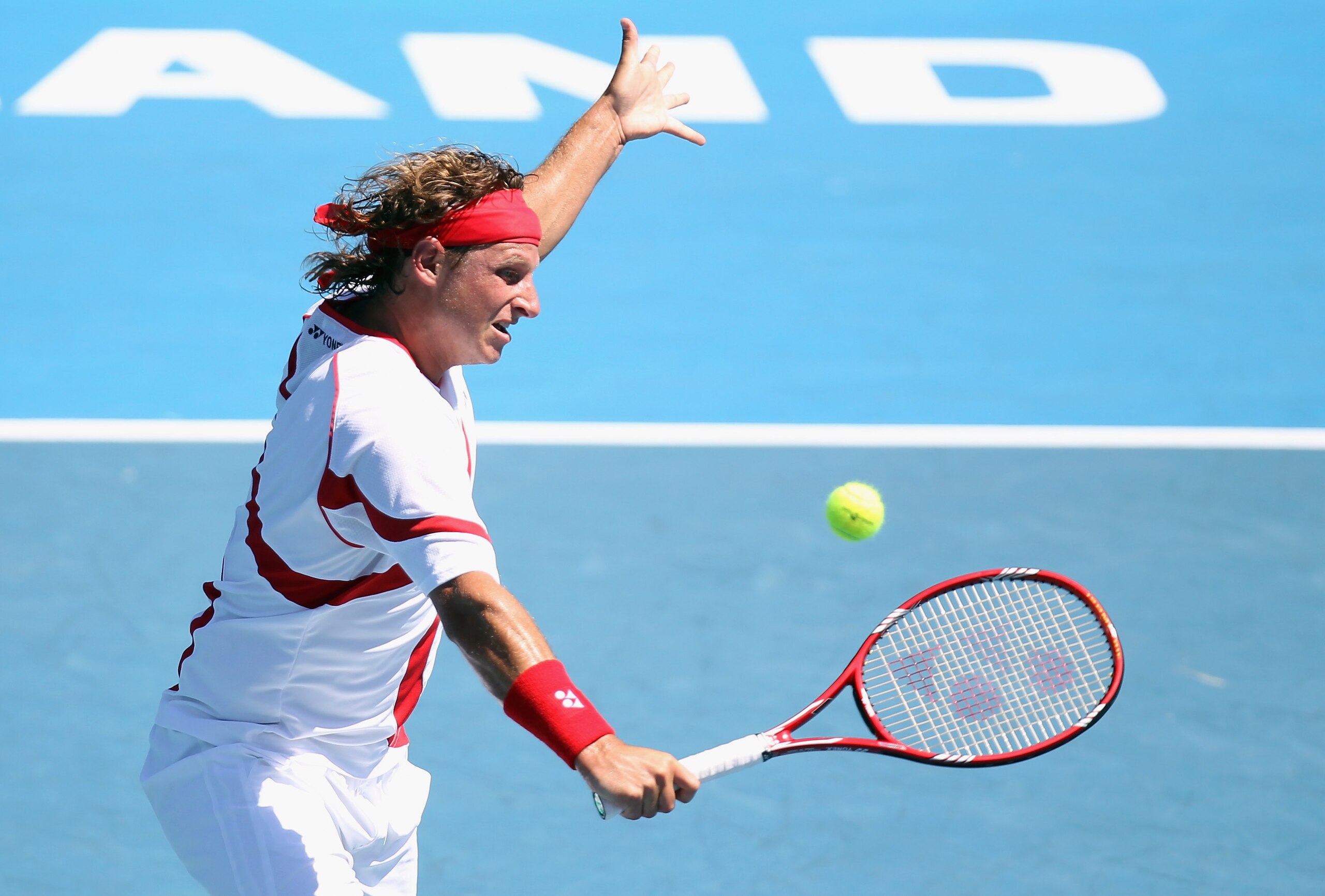 AUCKLAND, NEW ZEALAND - JANUARY 15:  David Nalbandian of Argentina plays a forehand during the Men's Final match against David Ferrer of Spain on day six of the Heineken Open at ASB Tennis Centre on January 15, 2011 in Auckland, New Zealand.  (Photo by Ha