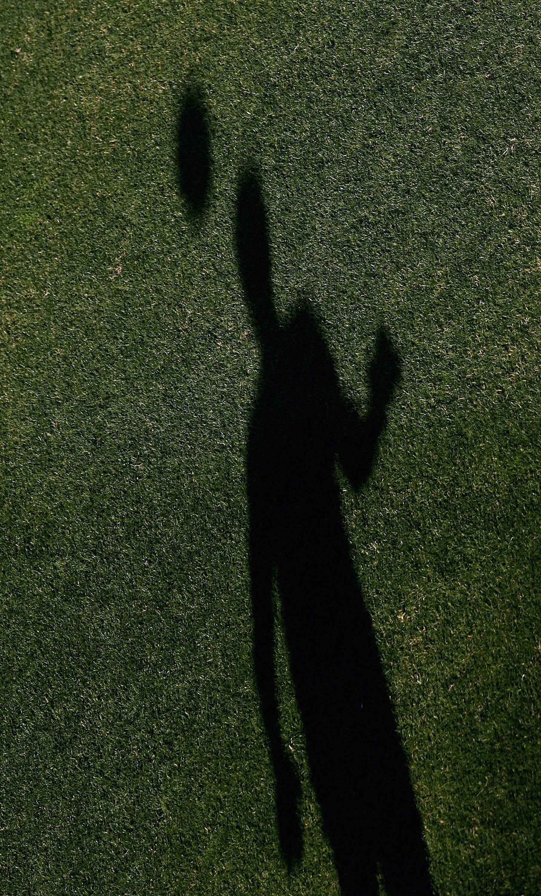 JOHANNESBURG, SOUTH AFRICA - JUNE 23:  A shadow of a South Africa player heads the ball during a South Africa training session held at Rand Stadium on June 23, 2009 in Johannesburg, South Africa.  (Photo by Alex Livesey/Getty Images)