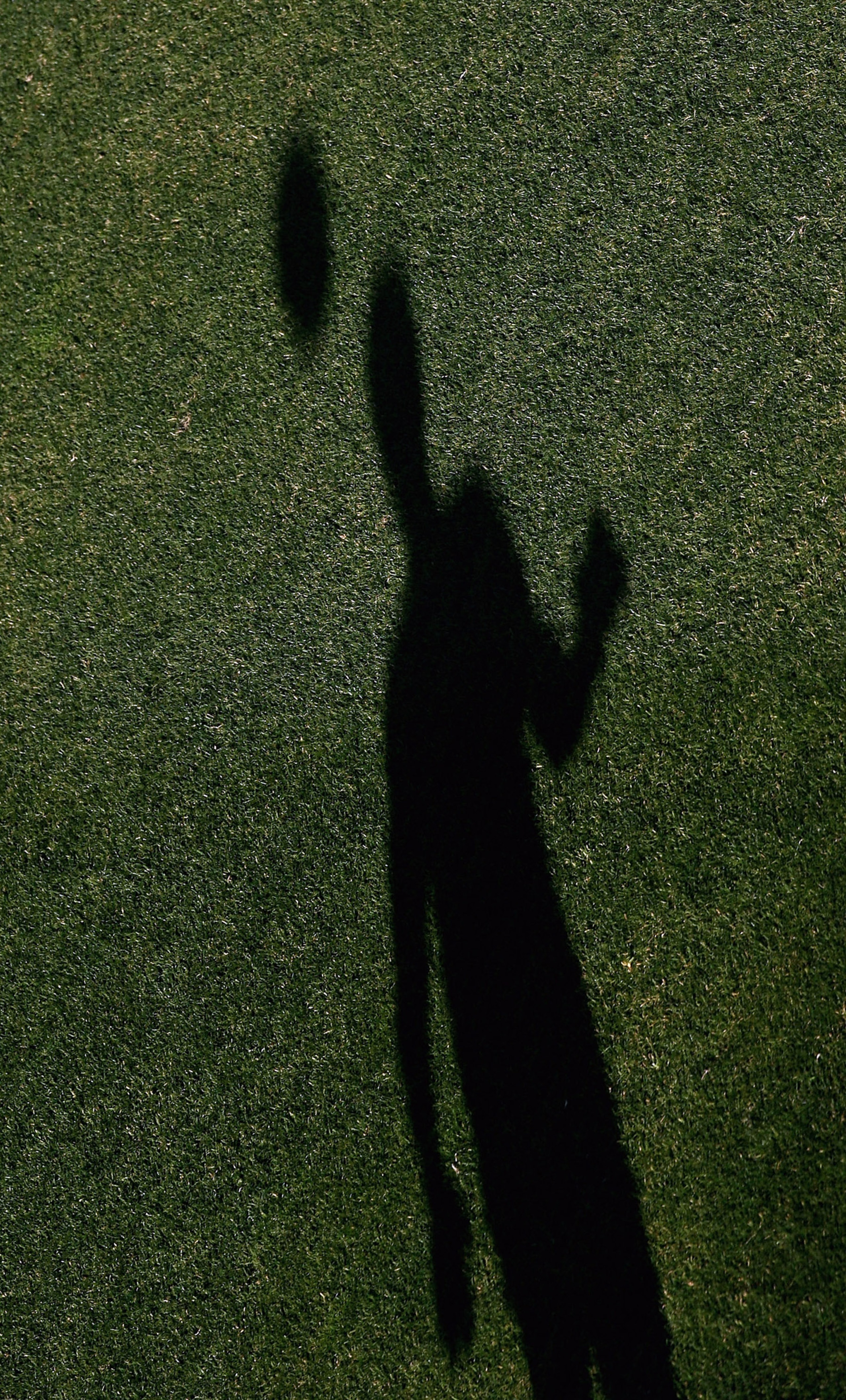 JOHANNESBURG, SOUTH AFRICA - JUNE 23:  A shadow of a South Africa player heads the ball during a South Africa training session held at Rand Stadium on June 23, 2009 in Johannesburg, South Africa.  (Photo by Alex Livesey/Getty Images)