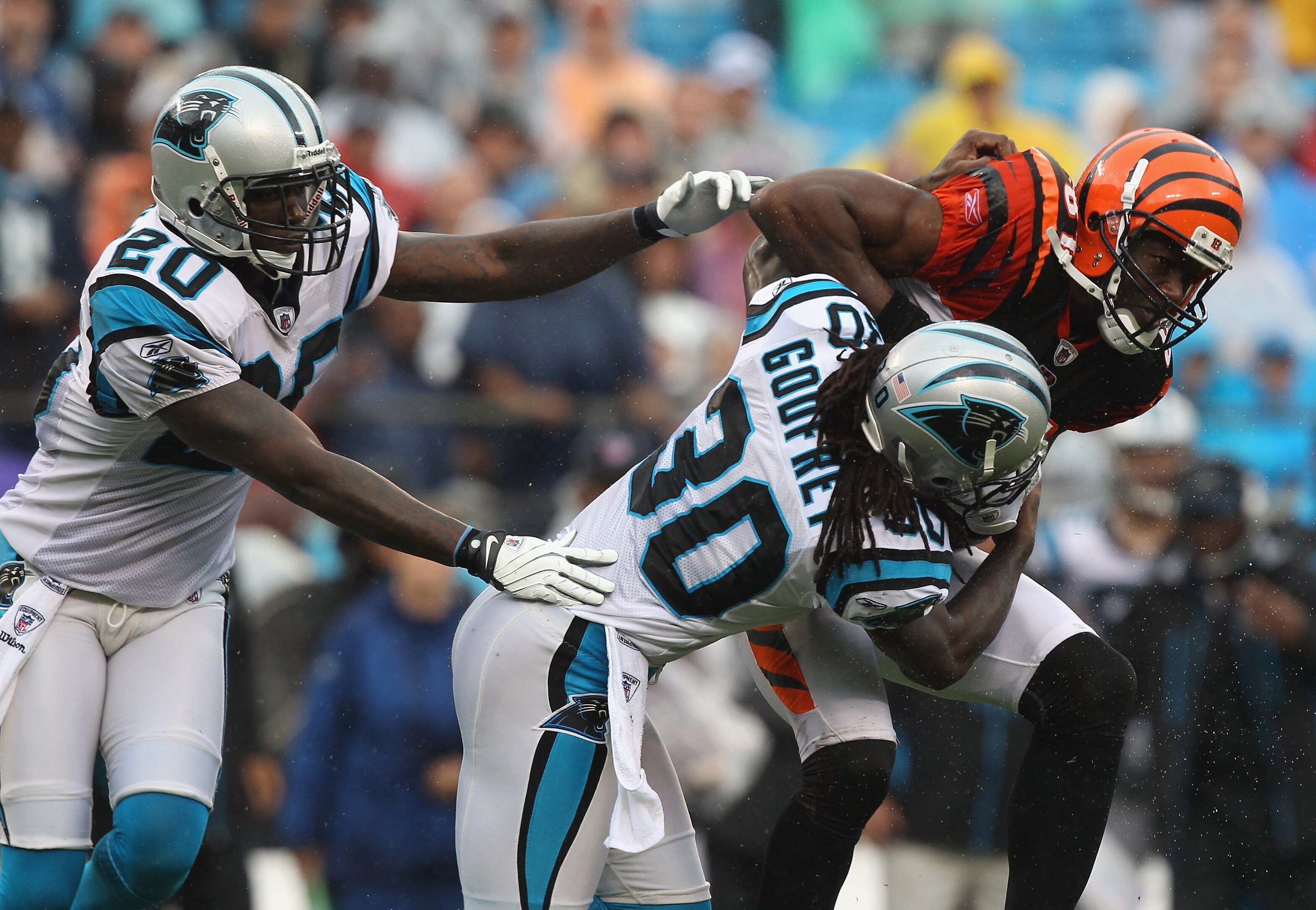 CHARLOTTE, NC - SEPTEMBER 26:  Terrell Owens #81 of the Cincinnati Bengals keeps the ball away from teammates Chris Gamble #20 and Charles Godfrey #30 of the Carolina Panthers during their game at Bank of America Stadium on September 26, 2010 in Charlotte