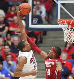 Colin Darland / Arizona Daily Wildcat