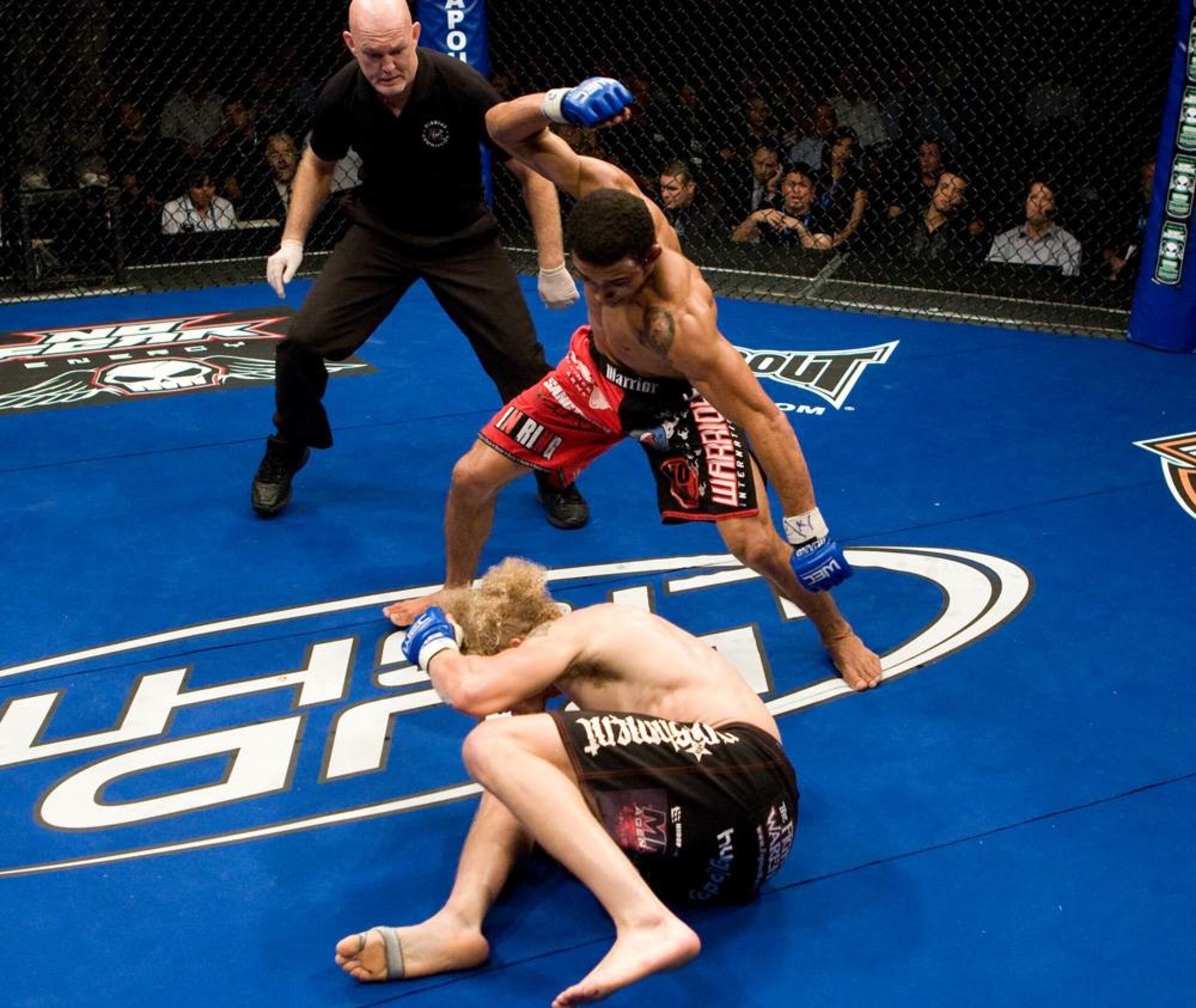 Jose Aldo Jose Aldo