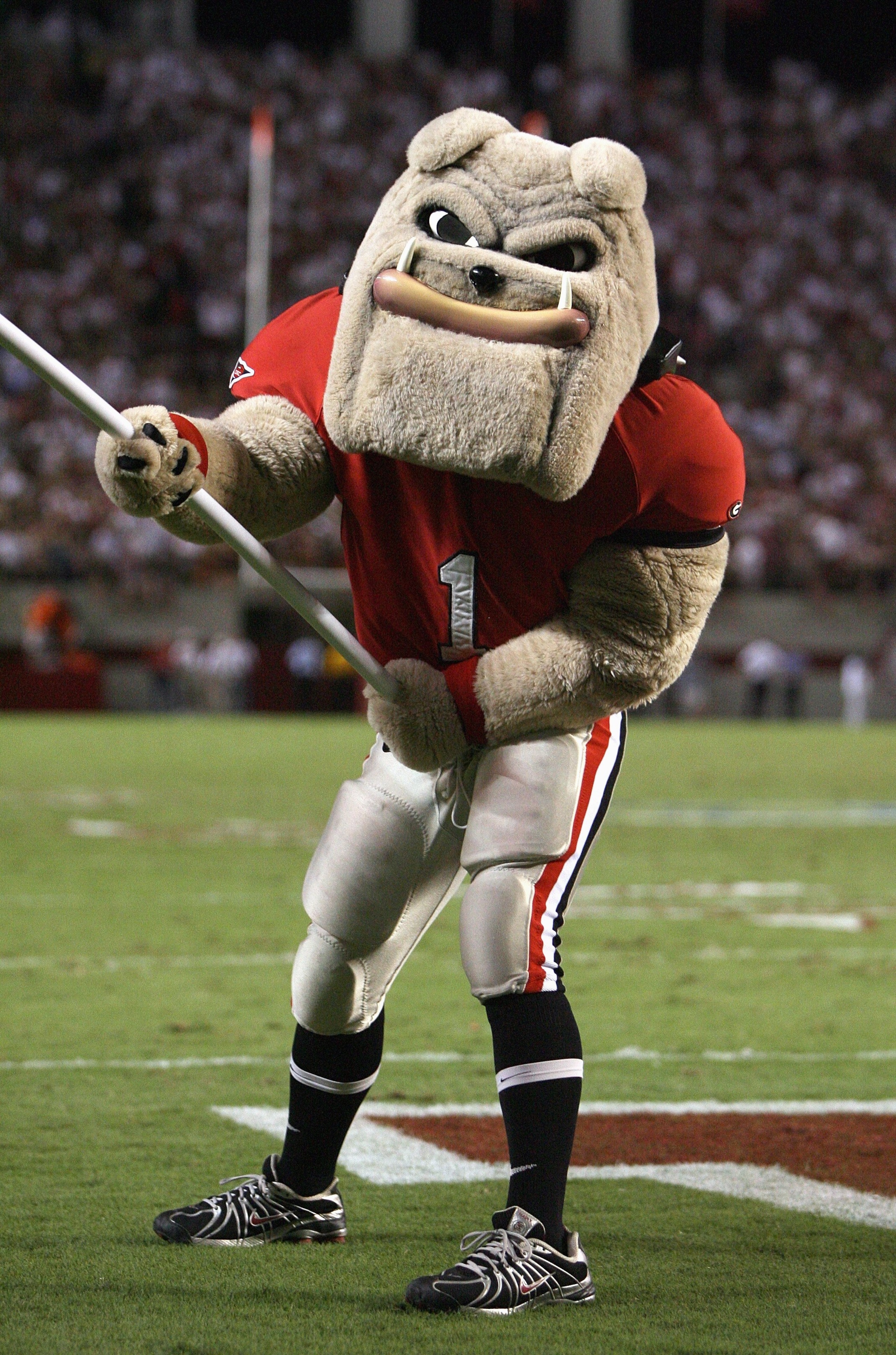 TUSCALOOSA, AL - SEPTEMBER 22: Mascot of the Georgia Bulldogs waves a flag on the field during the game against the Alabama Crimson Tide at Bryant-Denny Stadium September 22, 2007 in Tuscaloosa, Alabama. Georgia defeated Alabama 26-23 in overtime. (Photo