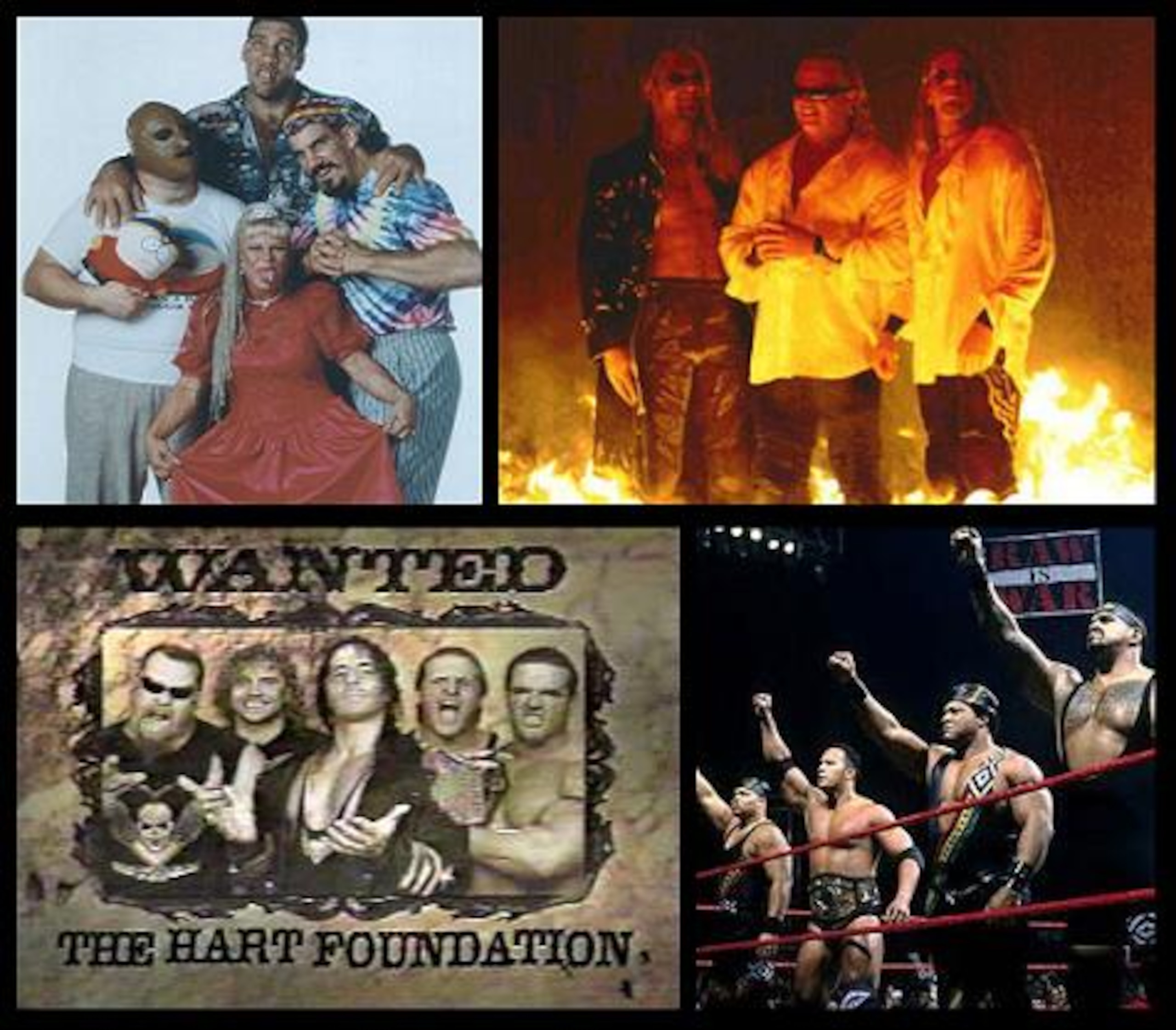 The Oddities, The Brood, The New Hart Foundation and The Nation Of Domination. The Oddities, The Brood, The New Hart Foundation and The Nation Of Domination.