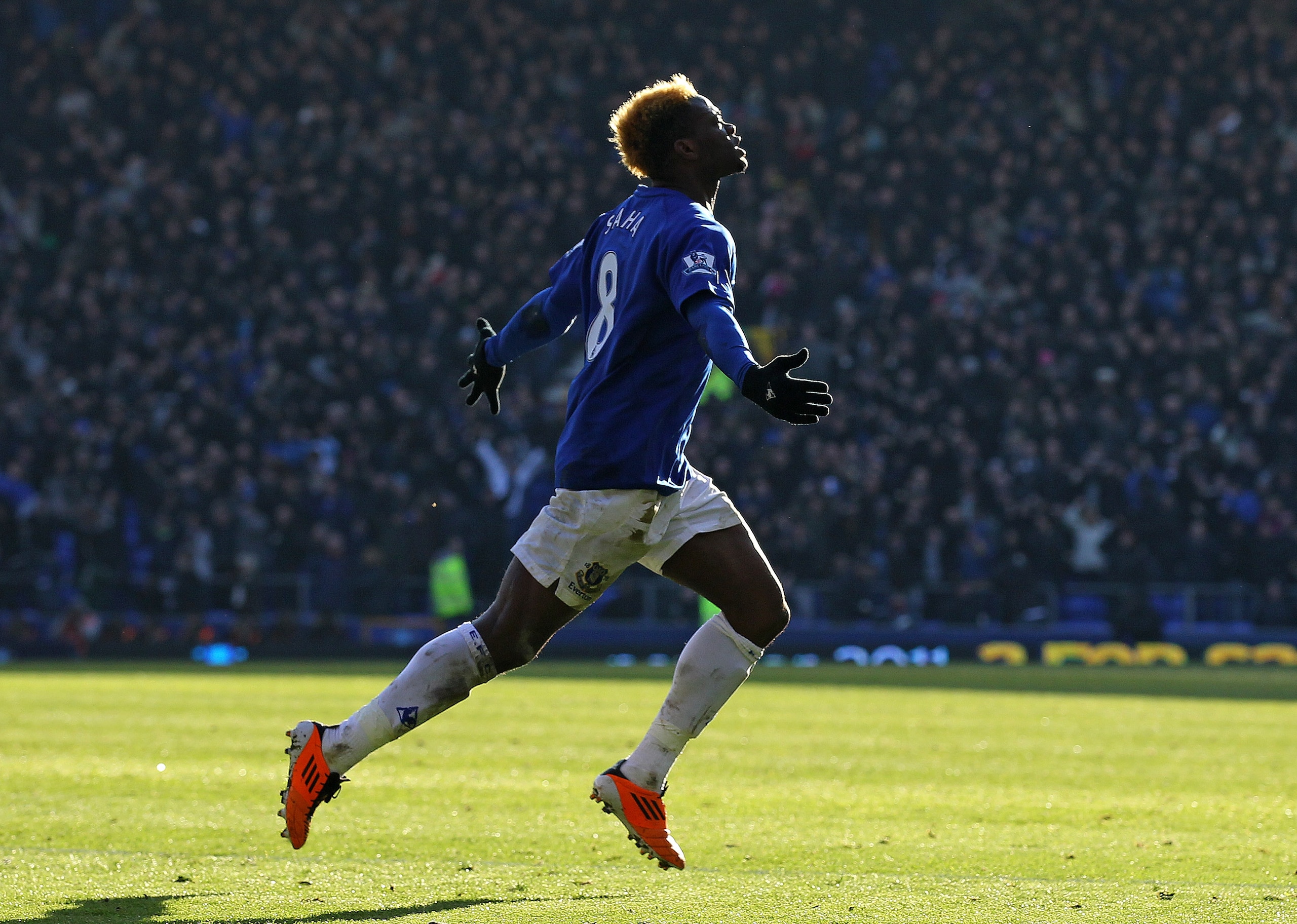 LIVERPOOL, ENGLAND - JANUARY 29:  Louis Saha of Everton celebrates scoring the opening goal during the FA Cup sponsored by E.On Fourth Round match between Everton and Chelsea at Goodison Park on January 29, 2011 in Liverpool, England.  (Photo by Alex Live