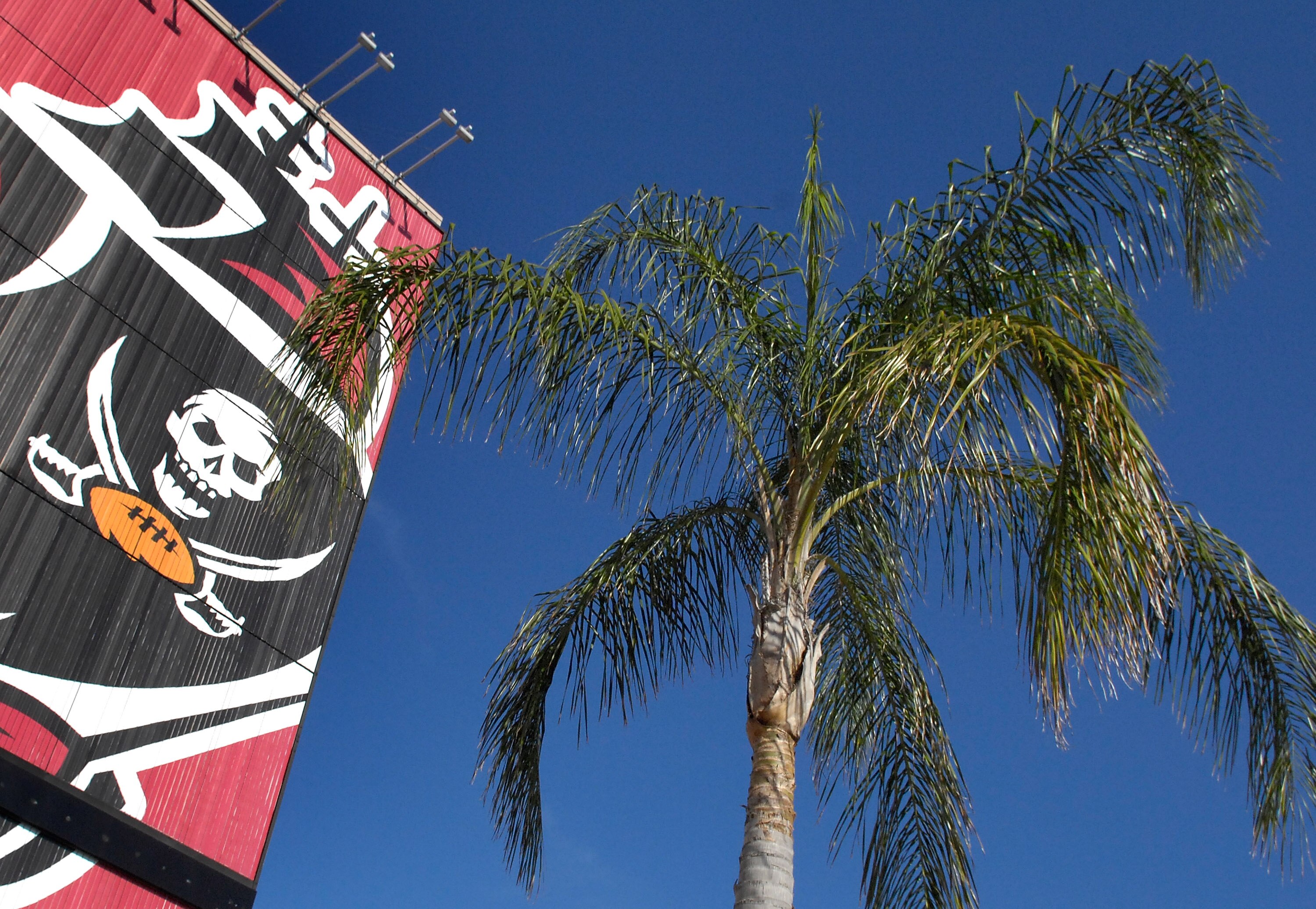 TAMPA, FL - JANUARY 06:  A palm tree is seen in front of the Tampa Bay Buccaneers logo prior to the NFC Wild Card game against the New York Giants at Raymond James Stadium on January 6, 2008 in Tampa, Florida.  (Photo by Al Messerschmidt/Getty Images)