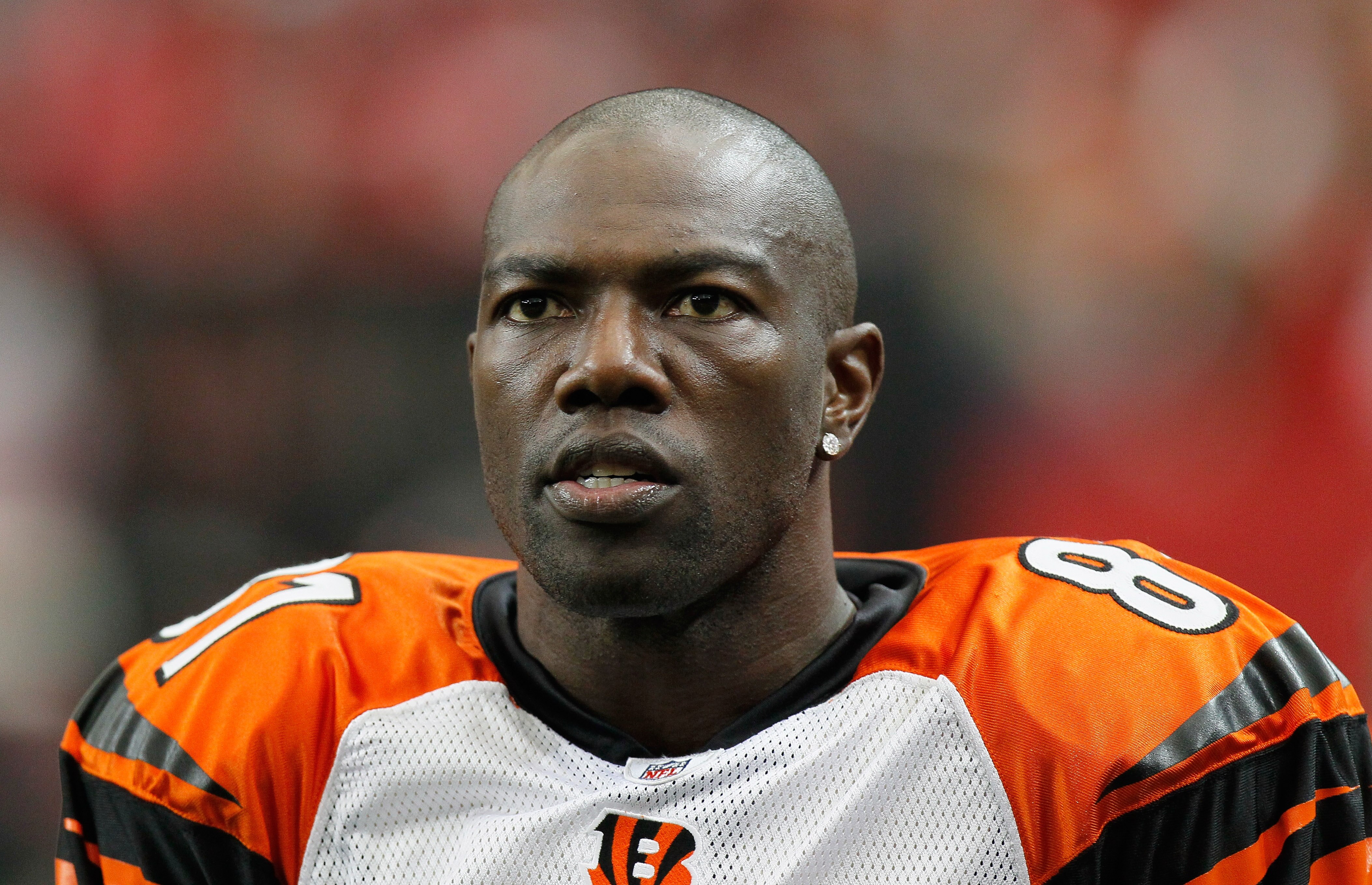 ATLANTA - OCTOBER 24:  Terrell Owens #81 of the Cincinnati Bengals against the Atlanta Falcons at Georgia Dome on October 24, 2010 in Atlanta, Georgia.  (Photo by Kevin C. Cox/Getty Images)