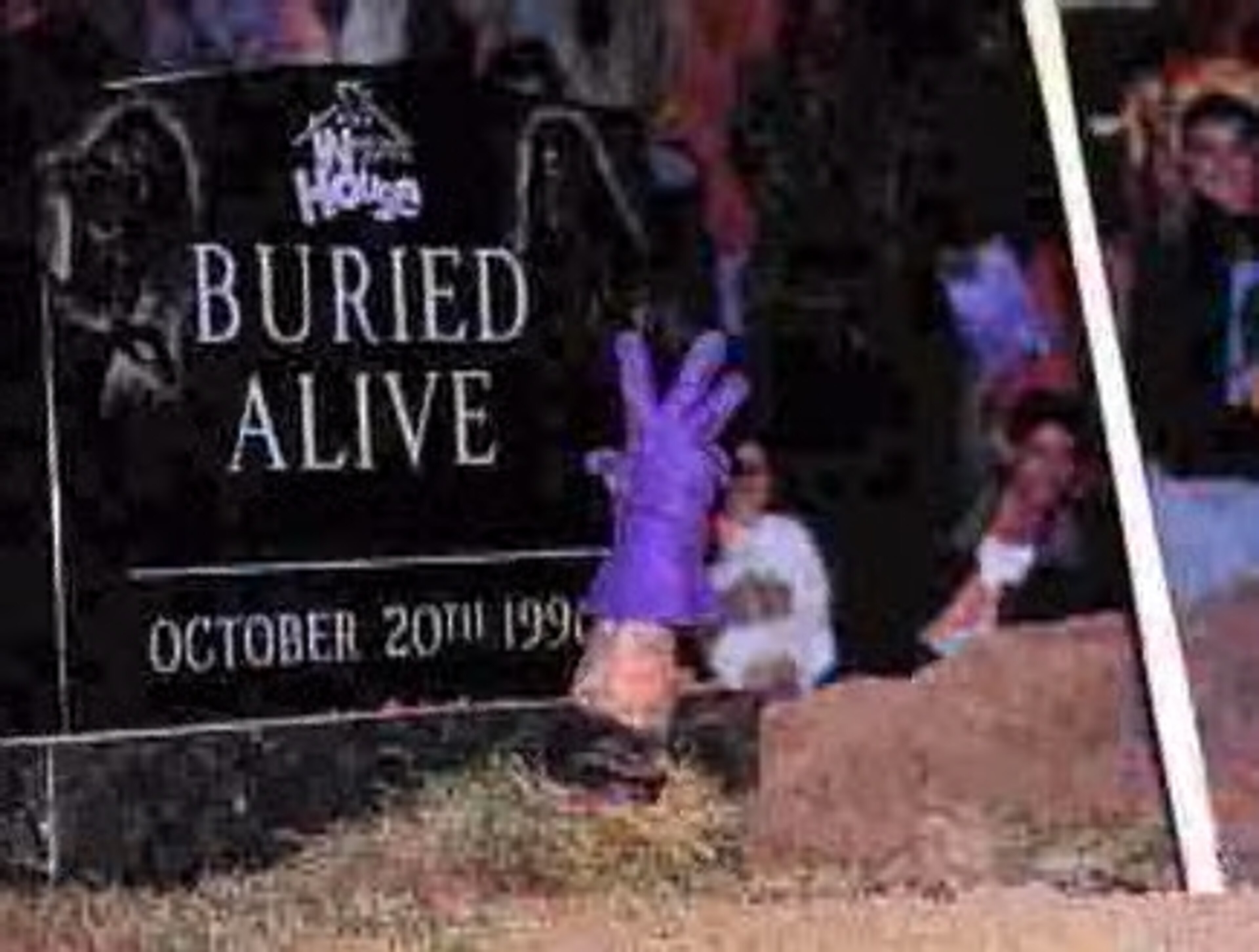 Courtesy of WWE Courtesy of WWE