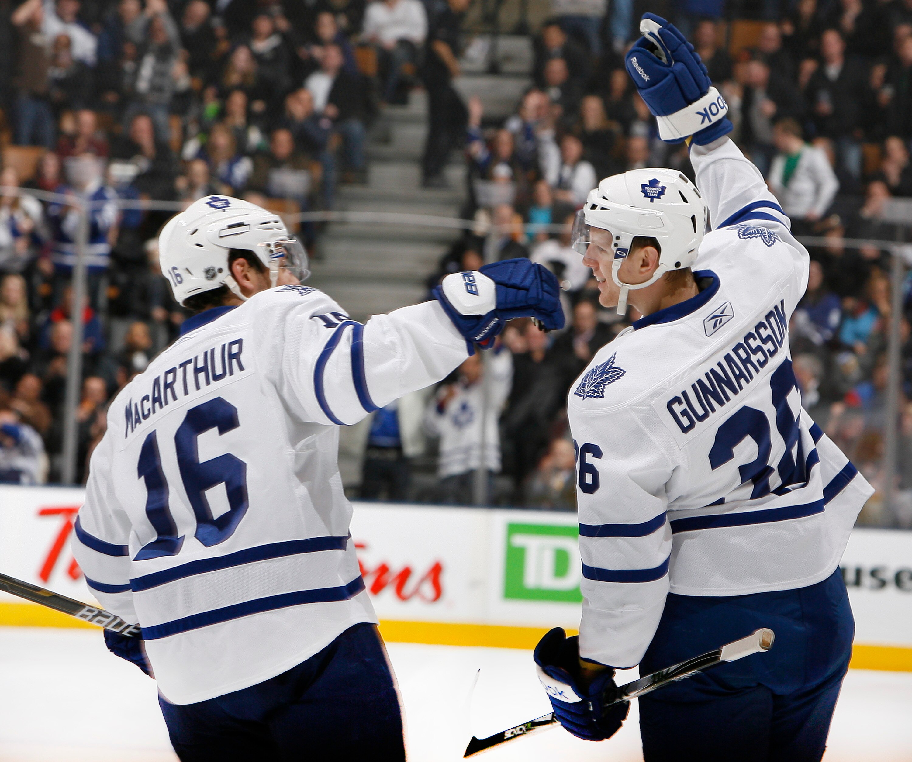 TORONTO, CANADA - JANUARY 20: Clarke MacArthur #16 and Carl Gunnarsson #36 of the Toronto Maple Leafs celebrate Carl Gunnarsson goal against the Anaheim Ducks during game action at the Air Canada Centre January 20, 2011 in Toronto, Ontario, Canada. (Photo