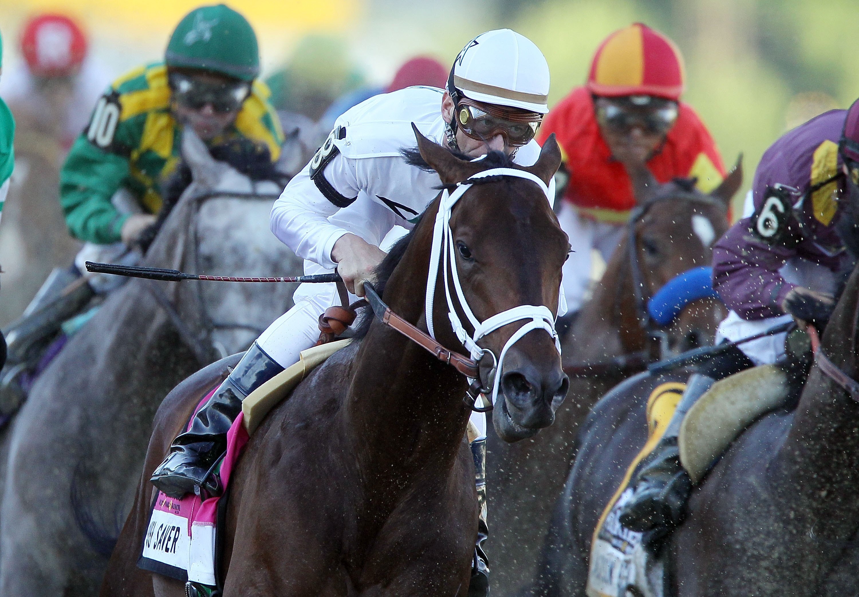 BALTIMORE - MAY 15:  Kentucky Derby winner Super Saver, ridden by Calvin Borel, rounds turn 1 during the 135th running of the Preakness Stakes at Pimlico Race Course on May 15, 2010 in Baltimore, Maryland.  (Photo by Jim McIsaac/Getty Images)