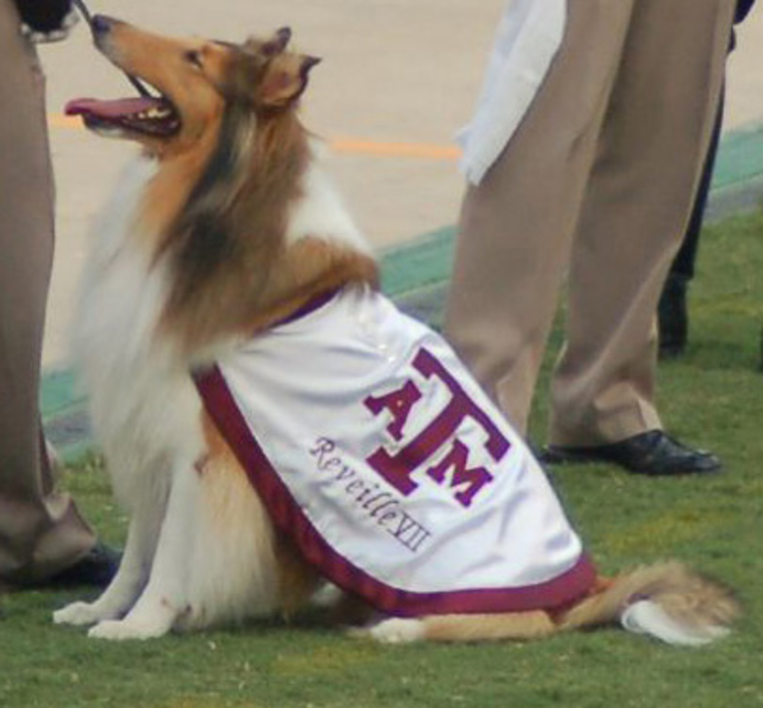 Aggie