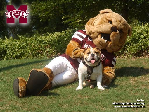 Mississippi State Bulldogs