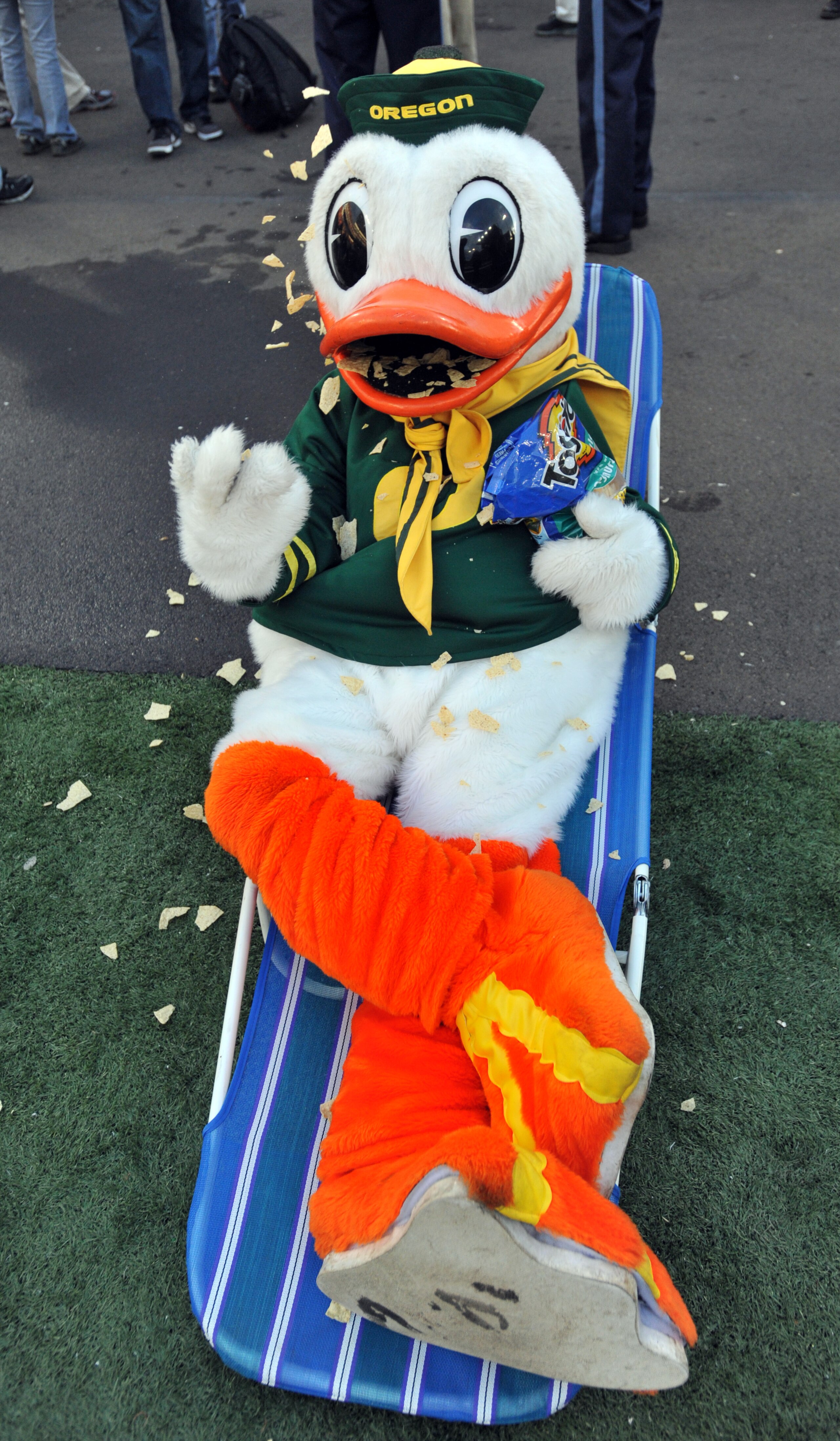 CORVALLIS, OR - DECEMBER 4: Oregon Ducks mascot 'Puddles' sits in a lawn chair and eats Tostitos chips as time winds down in the fourth quarter of the game against the Oregon State Beavers at Reser Stadium on December 4, 2010 in Corvallis, Oregon. The Duc