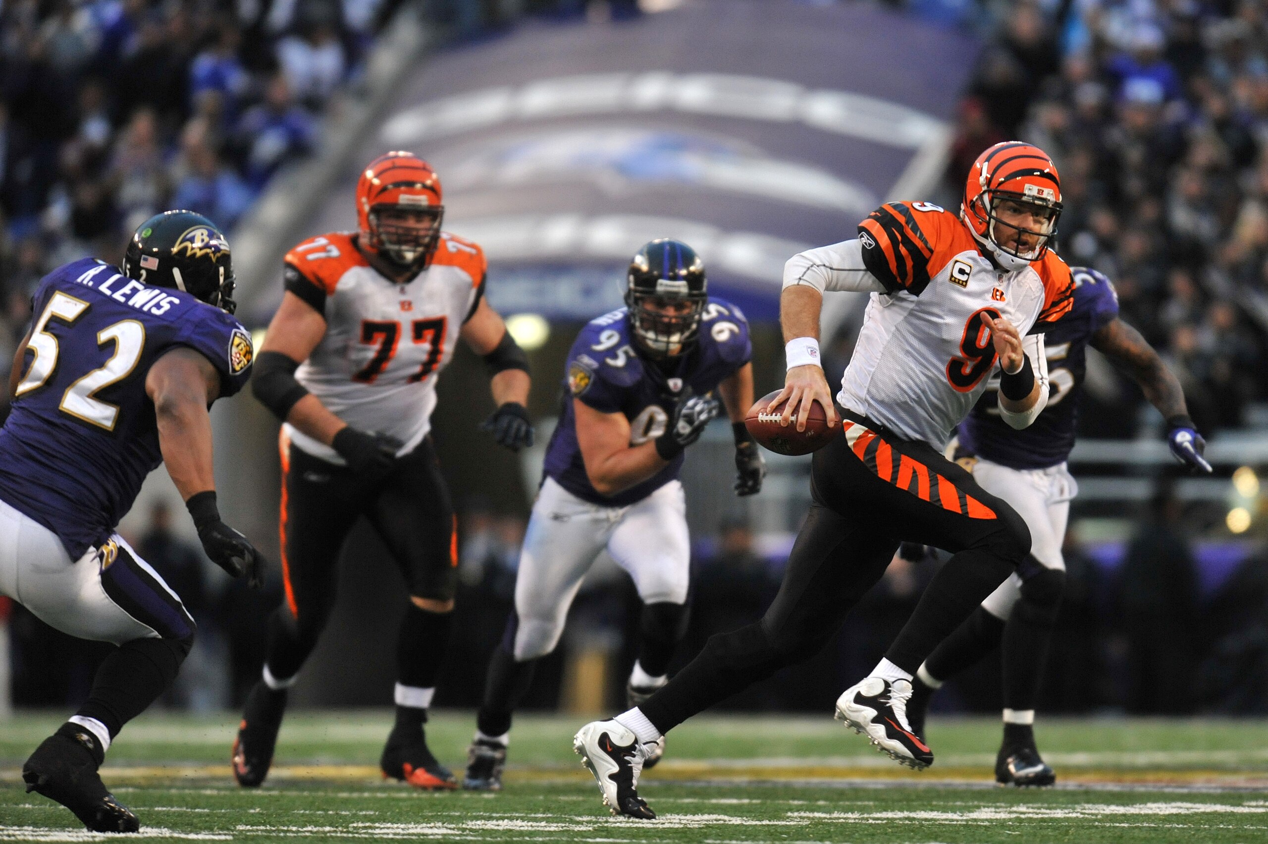 BALTIMORE, MD - JANUARY 2:  Carson Palmer #9 of the Cincinnati Bengals runs the ball before fumbling with less than two  minutes to go in the game against the Baltimore Ravens at M&T Bank Stadium on January 2, 2011 in Baltimore, Maryland. The Ravens defea