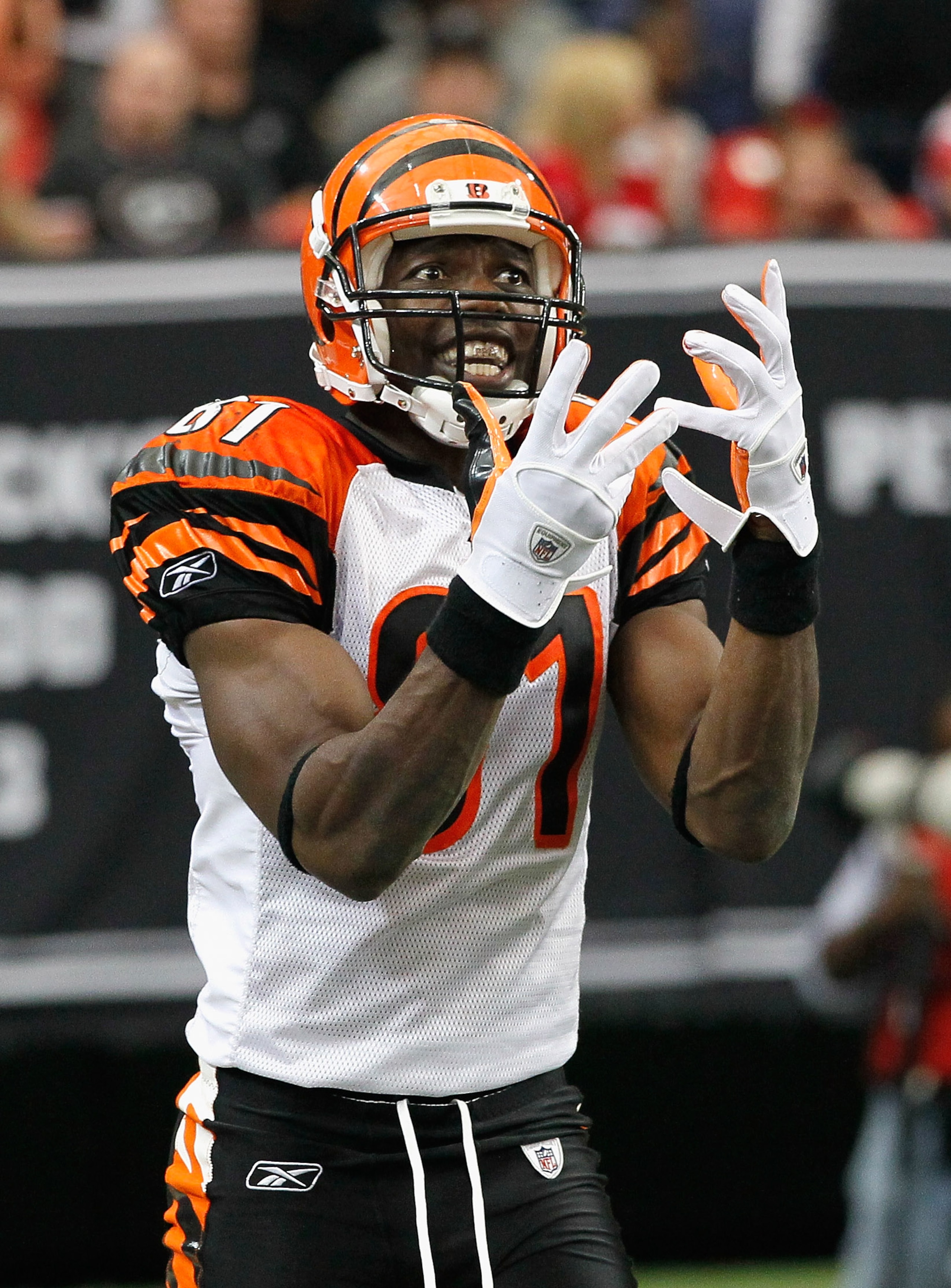 ATLANTA - OCTOBER 24:  Terrell Owens #81 of the Cincinnati Bengals against the Atlanta Falcons at Georgia Dome on October 24, 2010 in Atlanta, Georgia.  (Photo by Kevin C. Cox/Getty Images)