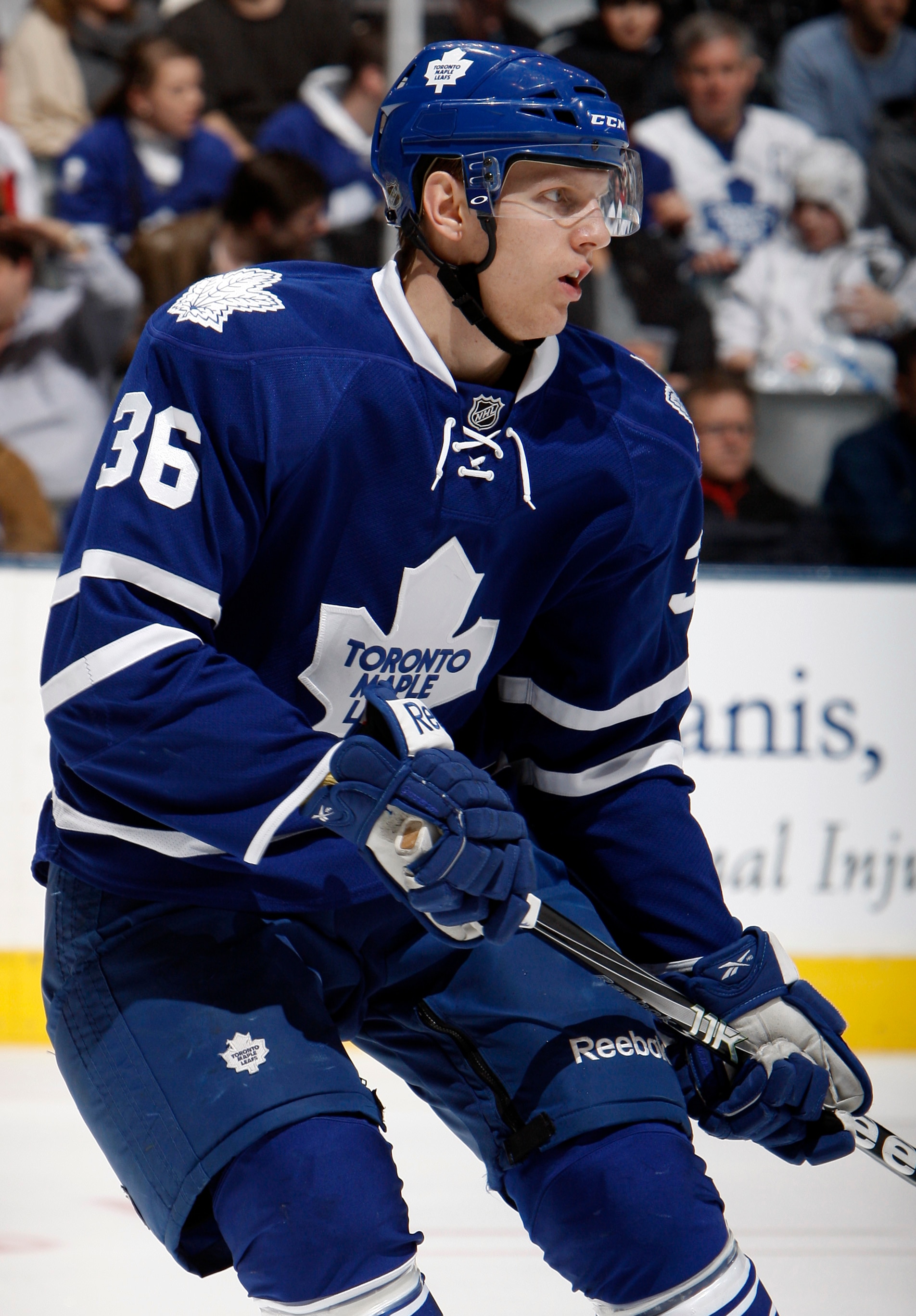 TORONTO, CANADA - JANUARY 22:  Carl Gunnarsson #36 of the Toronto Maple Leafs skates up the ice during game action at the Air Canada Centre against the Washington Capitals January 22, 2011 in Toronto, Ontario, Canada. (Photo by Abelimages/Getty Images)