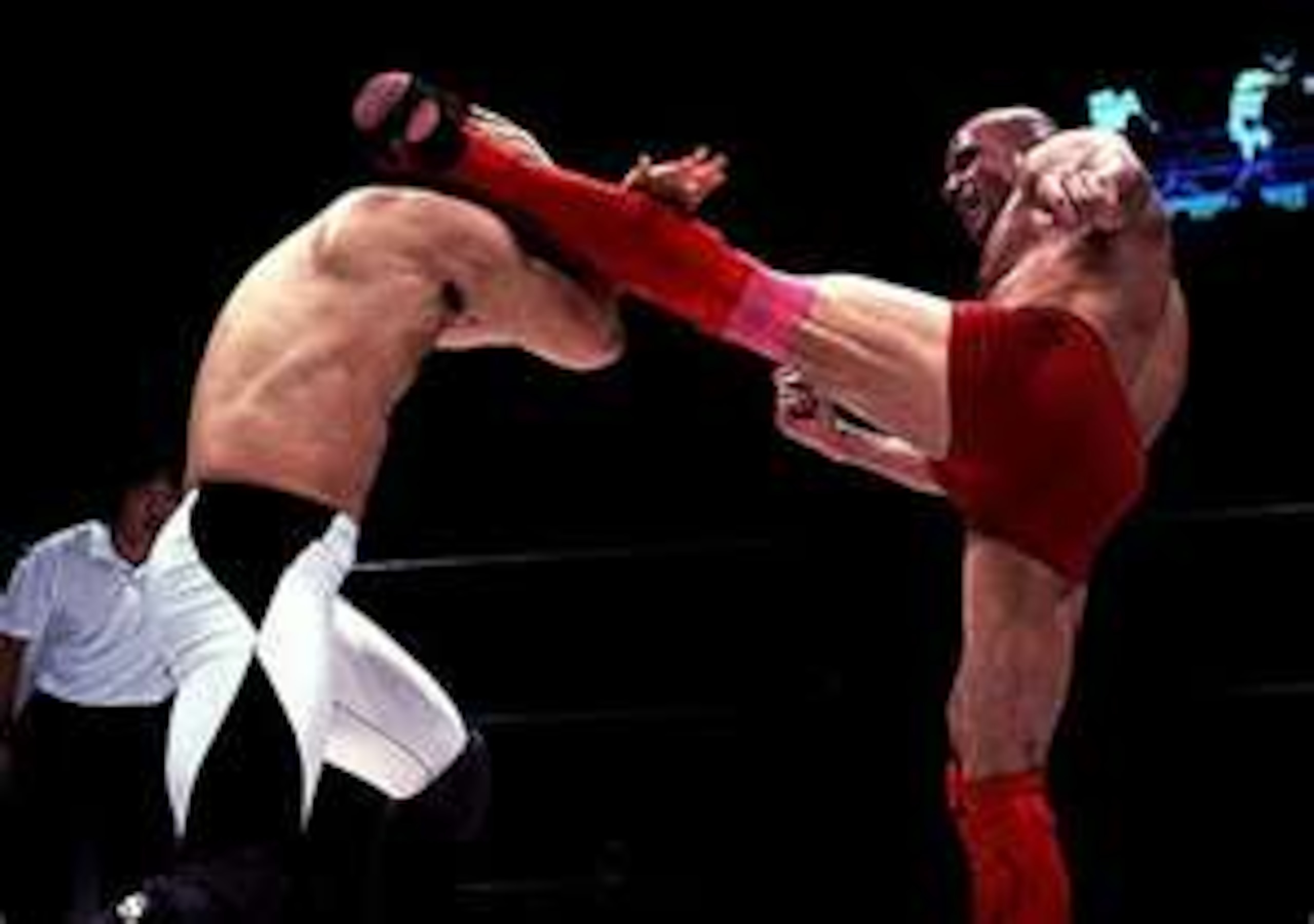 Bas Rutten landing a lethal high kick