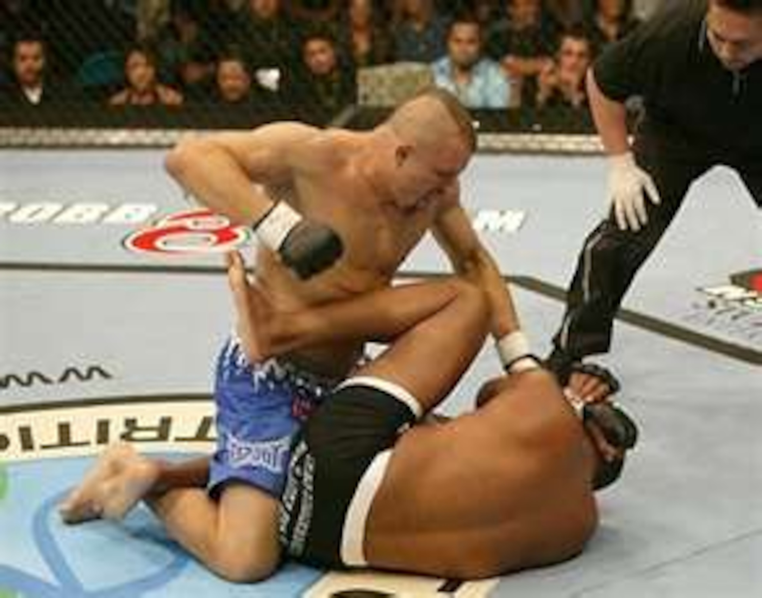 Chuck Liddell delivering brutal ground and pound