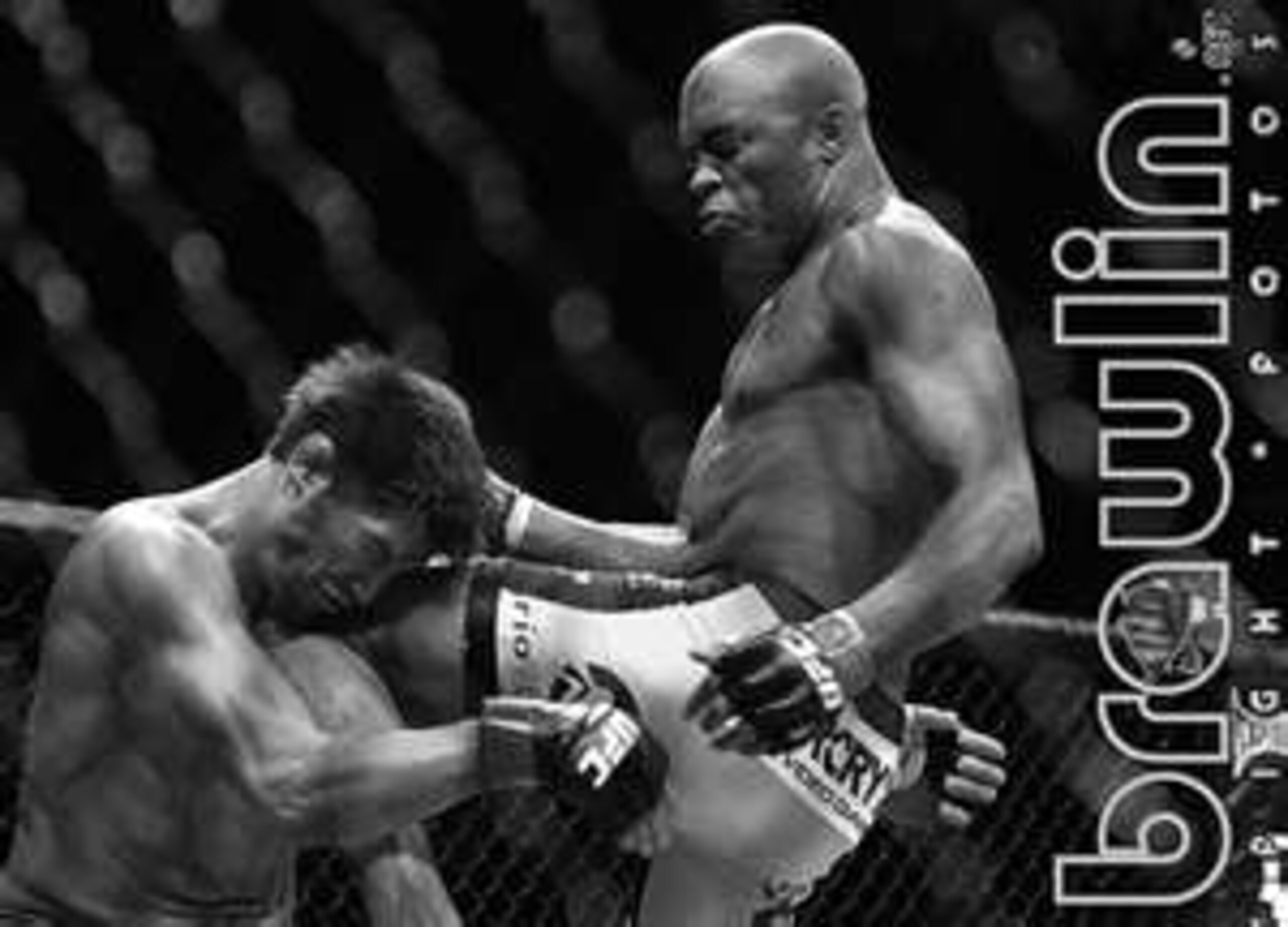 Anderson "The Spider" Silva delivering a vicious knee