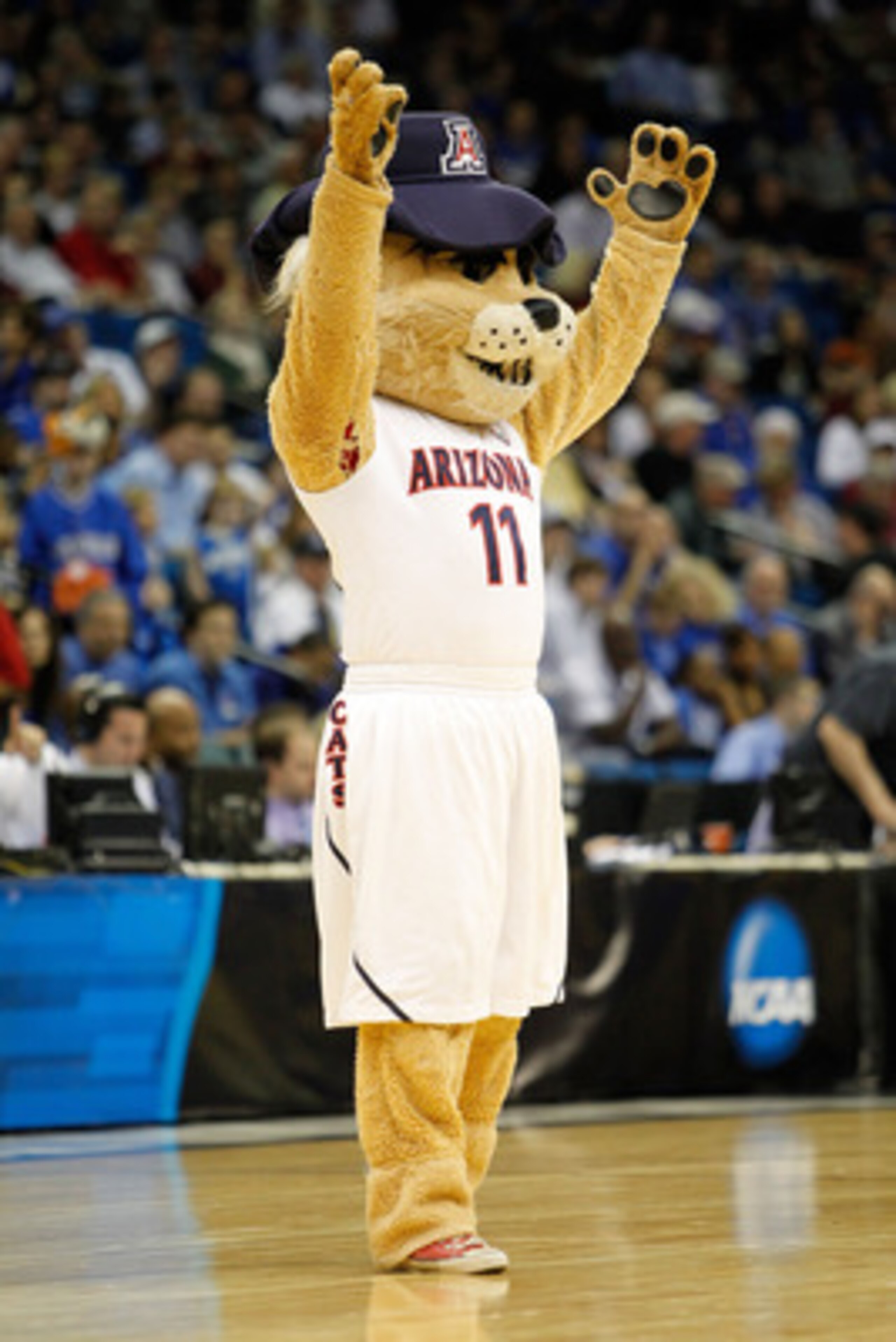 TULSA, OK - MARCH 18:  The Arizona Wildcats mascot performs during the second round game against the Memphis Tigers in the 2011 NCAA men's basketball tournament at BOK Center on March 18, 2011 in Tulsa, Oklahoma.  (Photo by Tom Pennington/Getty Images)