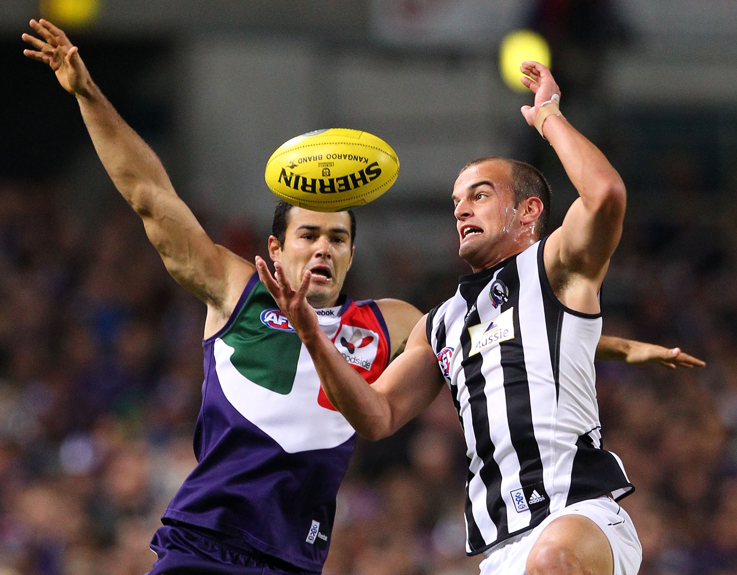 PERTH, AUSTRALIA - MAY 14:  Chris Tarrant of the Dockers and John Anthony of the Magpies contest a mark during the round eight AFL match between the Fremantle Dockers and the Collingwood Magpies at Subiaco Oval on May 14, 2010 in Perth, Australia.  (Photo