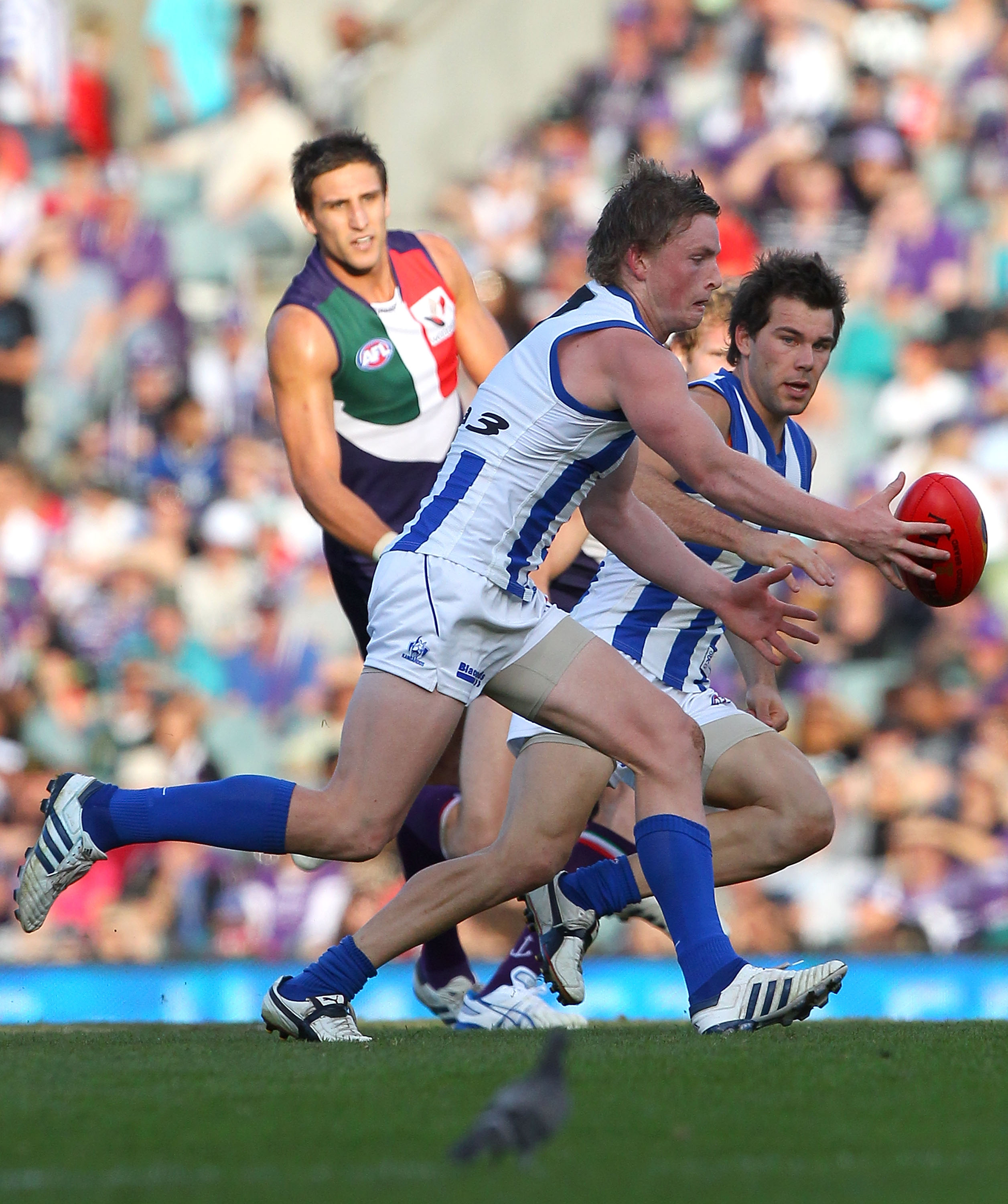 PERTH, AUSTRALIA - MAY 30:  Jack Ziebell of the Kangaroos gathers the ball during the round 10 AFL match between the Fremantle Dockers and the North Melbourne Kangaroos at Subiaco Oval on May 30, 2010 in Perth, Australia.  (Photo by Paul Kane/Getty Images