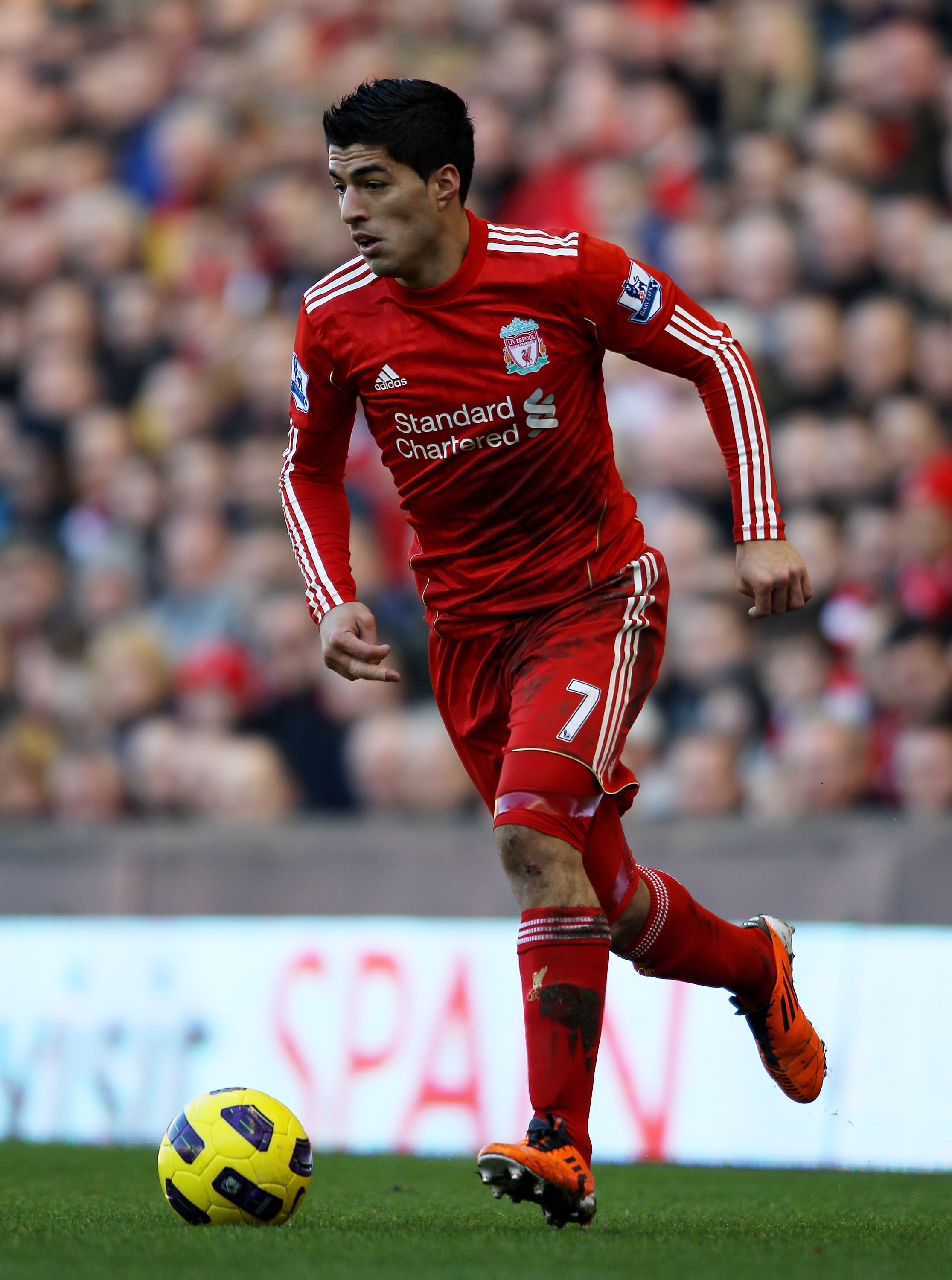LIVERPOOL, ENGLAND - FEBRUARY 12:  Luis Suarez of Liverpool in action during the Barclays Premier League match between Liverpool and Wigan Athletic at Anfield on February 12, 2011 in Liverpool, England.  (Photo by Clive Brunskill/Getty Images)