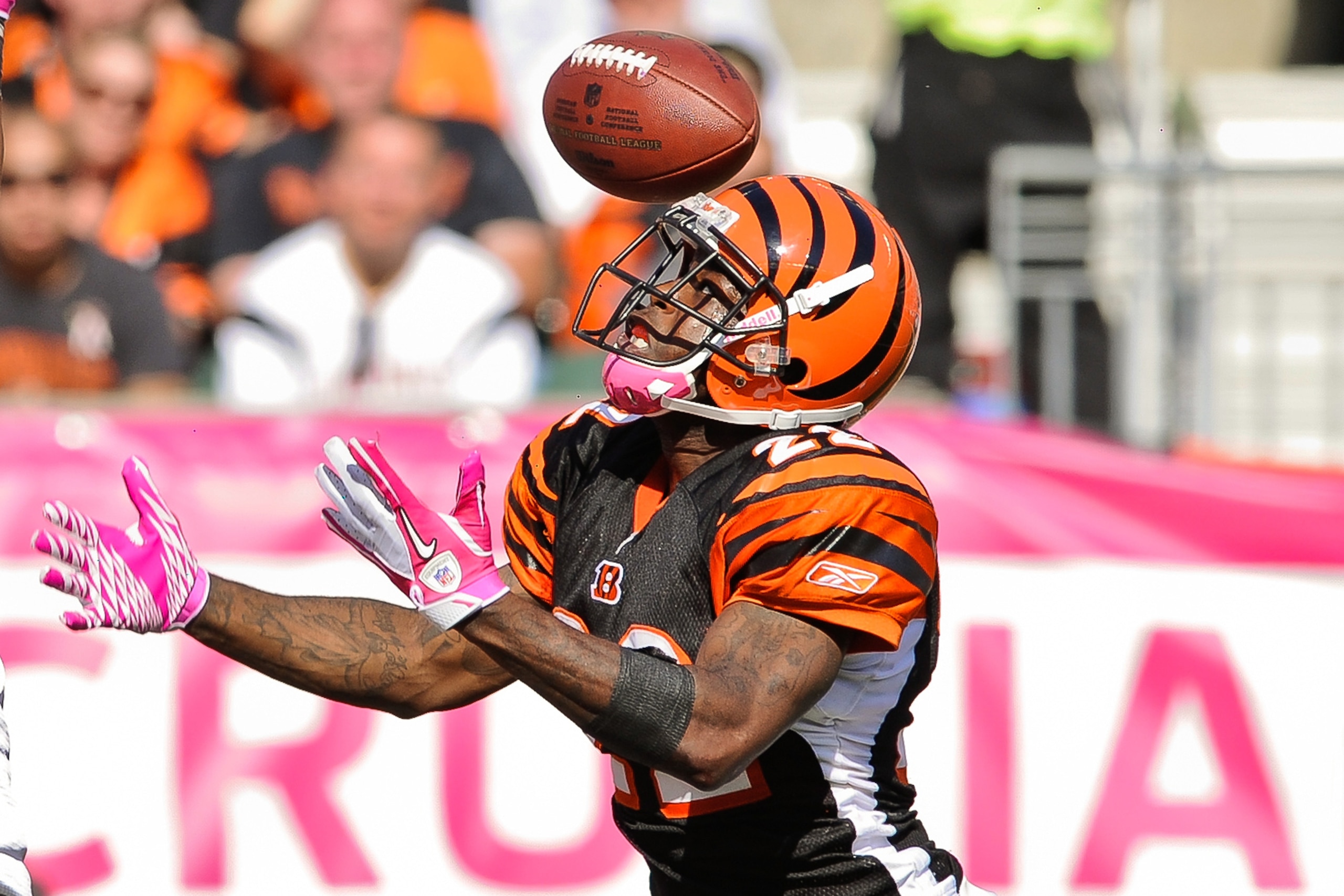CINCINNATI, OH - OCTOBER 10: Johnathan Joseph #22 of the Cincinnati Bengals breaks up a pass intended for the Tampa Bay Buccaneers at Paul Brown Stadium on October 10, 2010 in Cincinnati, Ohio. (Photo by Jamie Sabau/Getty Images)