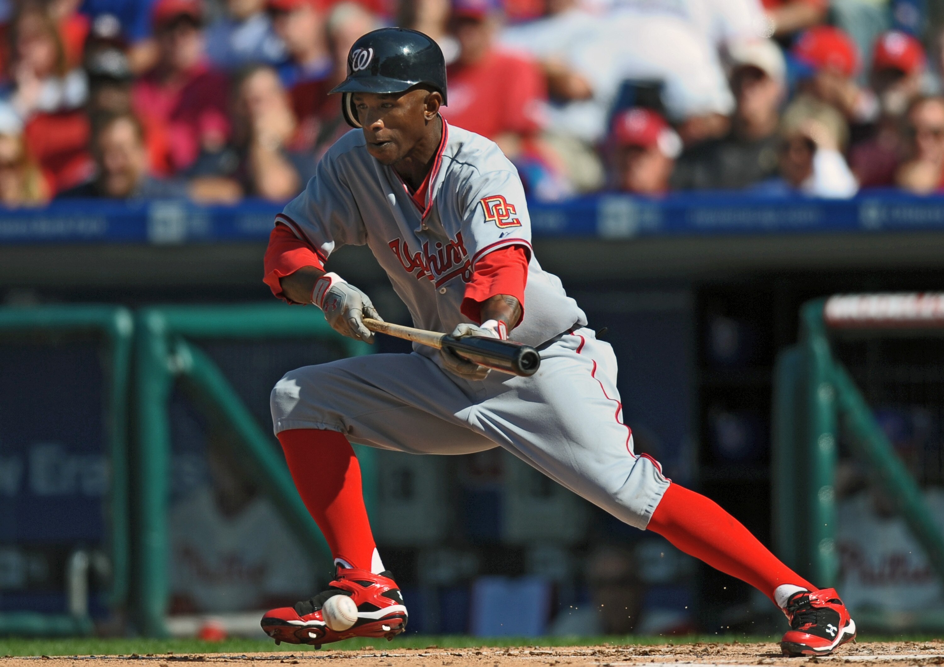 PHILADELPHIA - APRIL 12: Nyjer Morgan #1 of the Washington Nationals bunts during the game against the Philadelphia Phillies on Opening Day at Citizens Bank Park on April 12, 2010 in Philadelphia, Pennsylvania. The Phillies won 7-4. (Photo by Drew Hallowe
