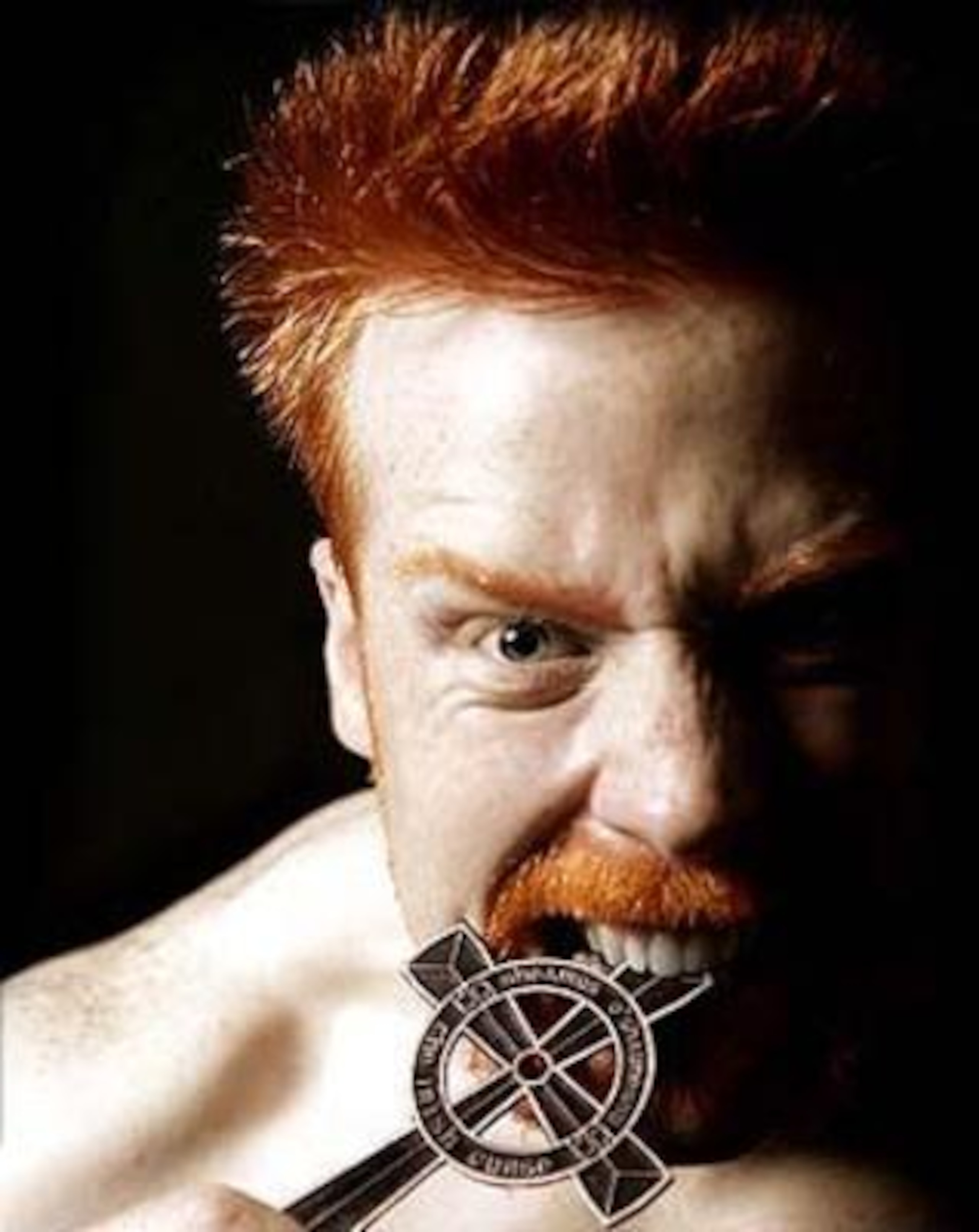 A vicious photograph of Sheamus.