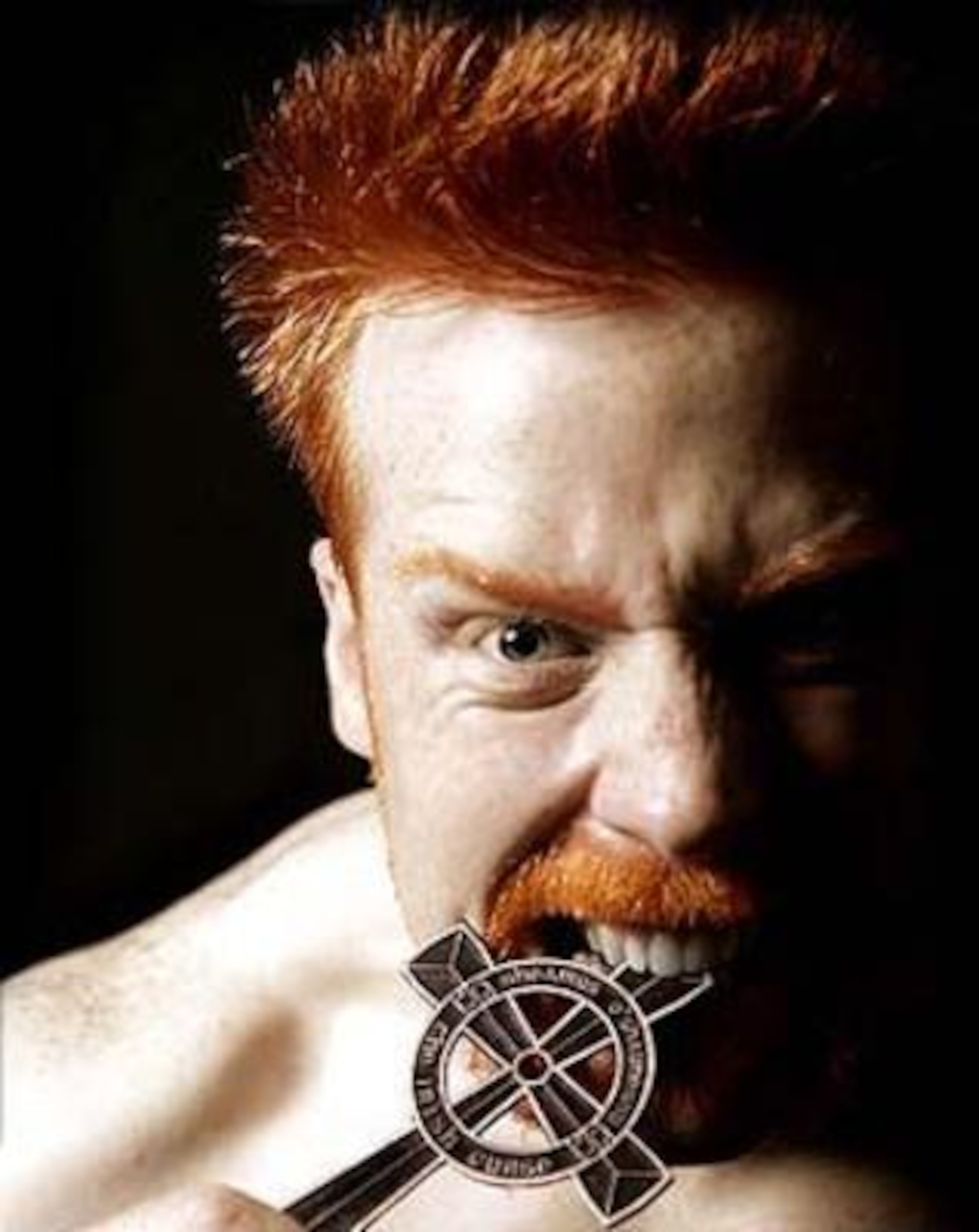 A vicious photograph of Sheamus.