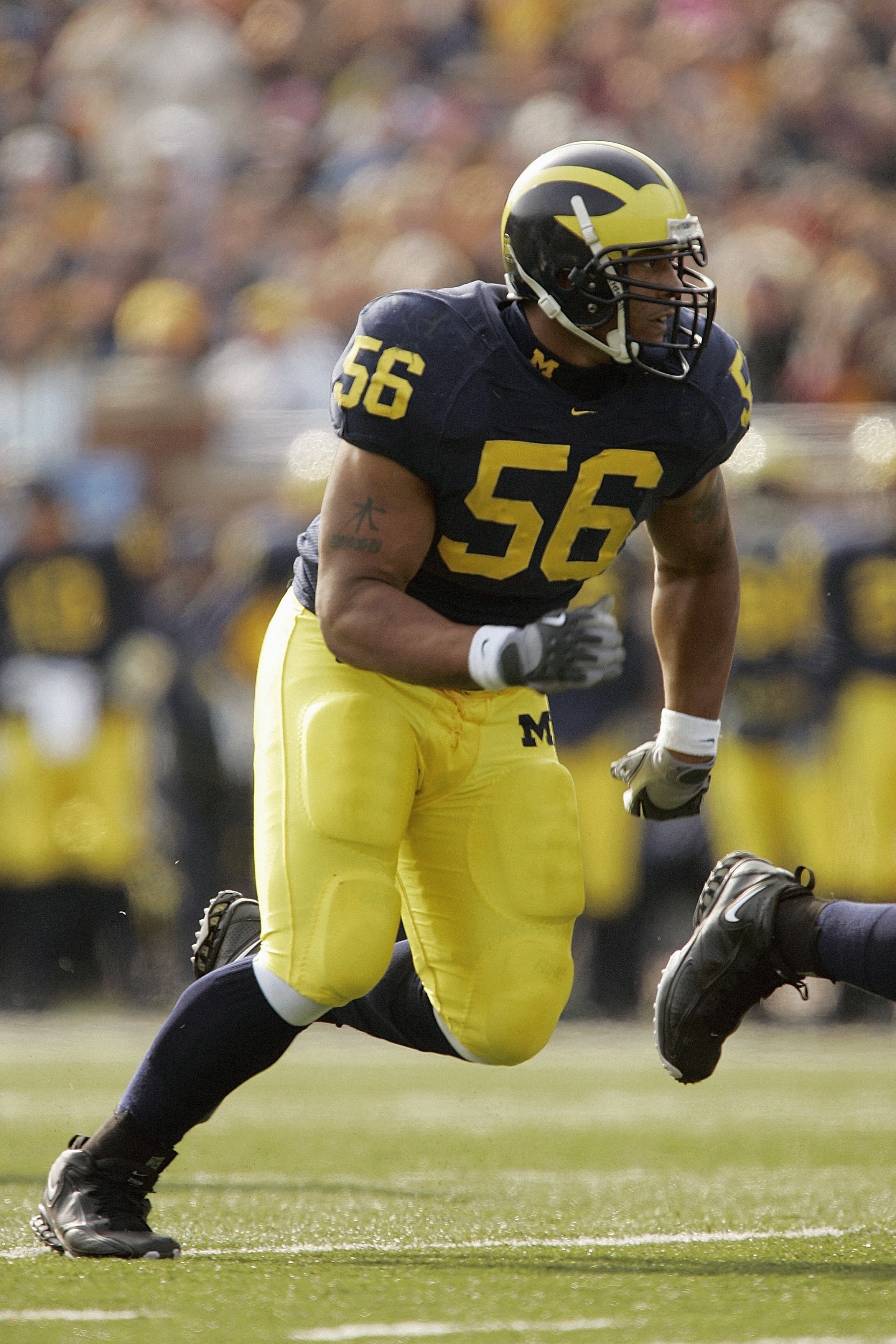 ANN ARBOR, MI - NOVEMBER 4:  Defensive end LaMarr Woodley #56 of the Michigan Wolverines during the NCAA game against the Ball State Cardinals on November 4, 2006 at Michigan Stadium in Ann Arbor, Michigan. Michigan won 34-26. (Photo by Brian Bahr/Getty I