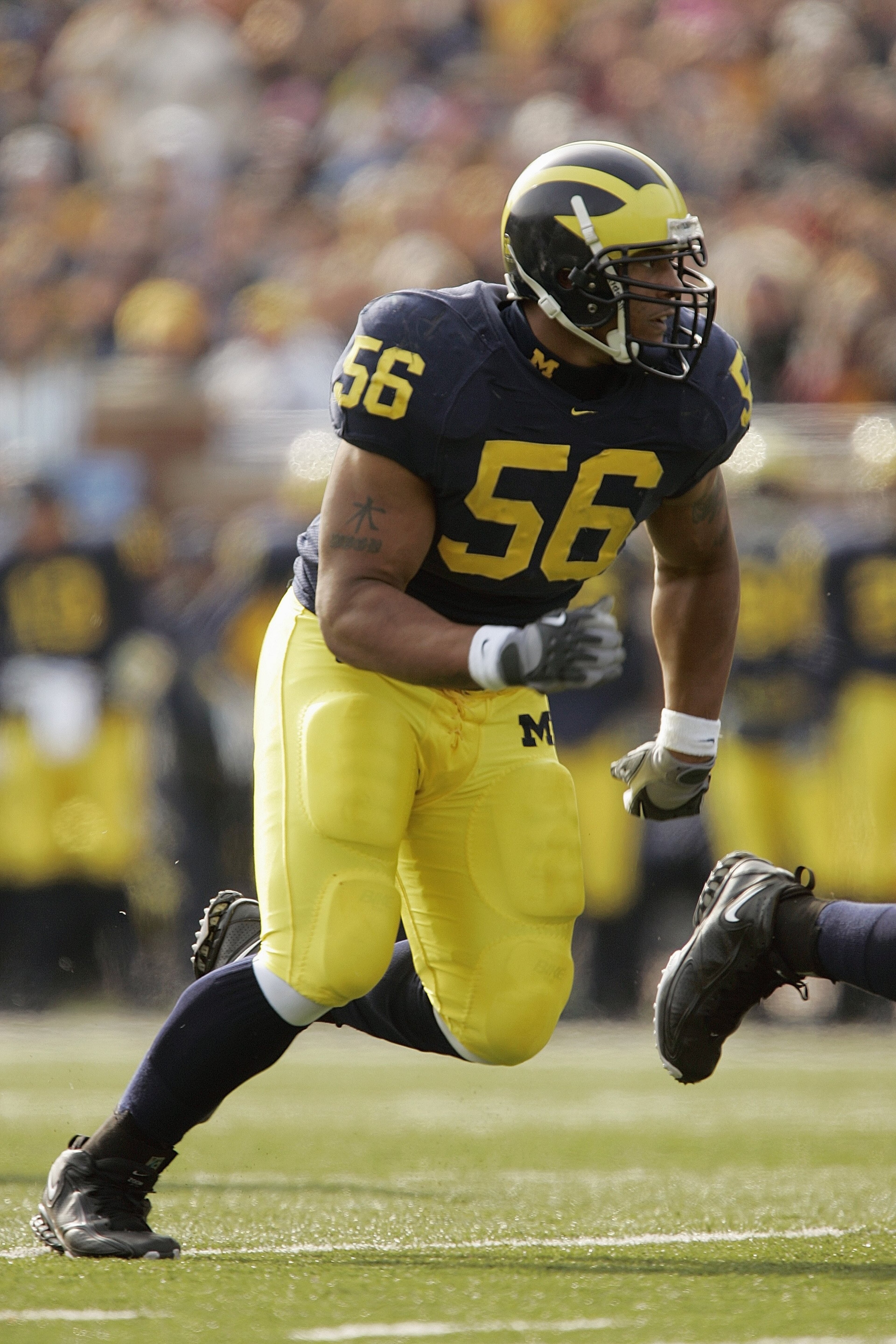 ANN ARBOR, MI - NOVEMBER 4:  Defensive end LaMarr Woodley #56 of the Michigan Wolverines during the NCAA game against the Ball State Cardinals on November 4, 2006 at Michigan Stadium in Ann Arbor, Michigan. Michigan won 34-26. (Photo by Brian Bahr/Getty I