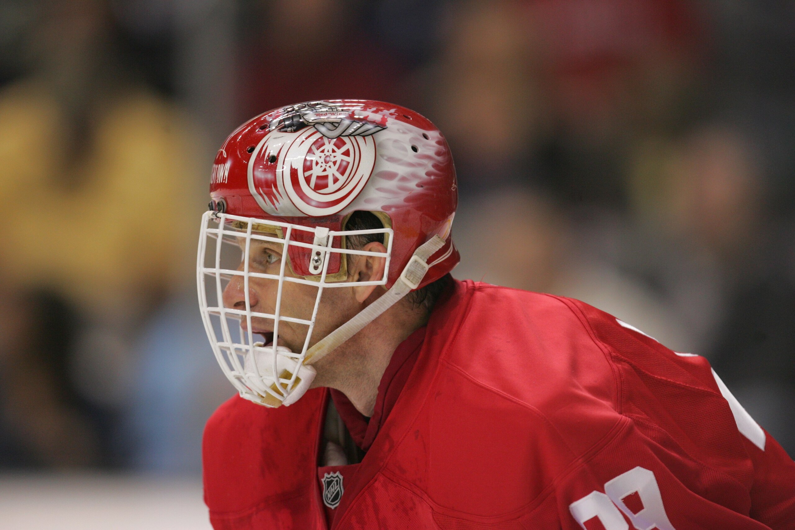 DALLAS - JANUARY 5:  Dominik Hasek #39 of the Detroit Red Wings looks on against the Dallas Stars at American Airlines Center on January 5, 2008 in Dallas, Texas. (Photo by Ronald Martinez/Getty Images)